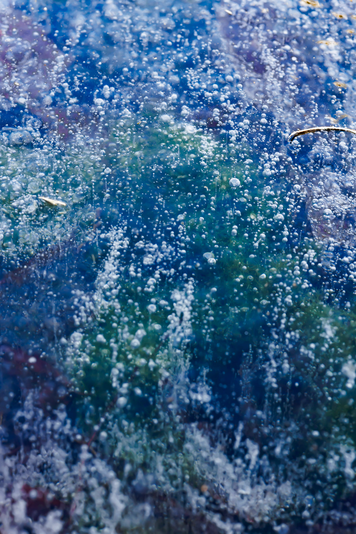 Bobler af frossen impressionisme I