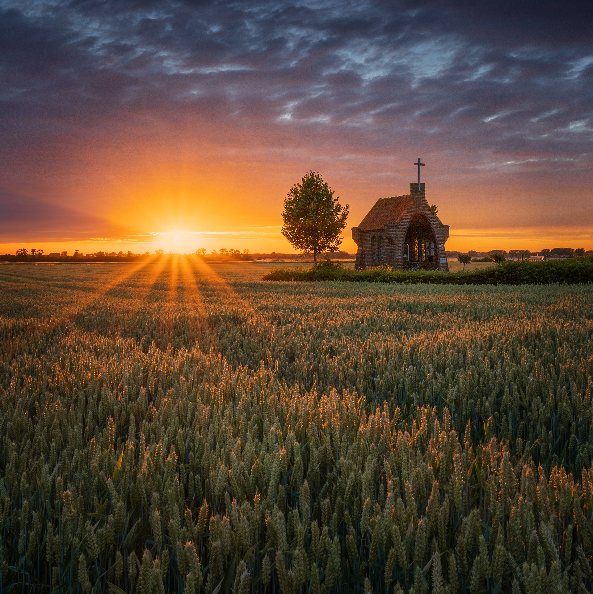 The Netherlands