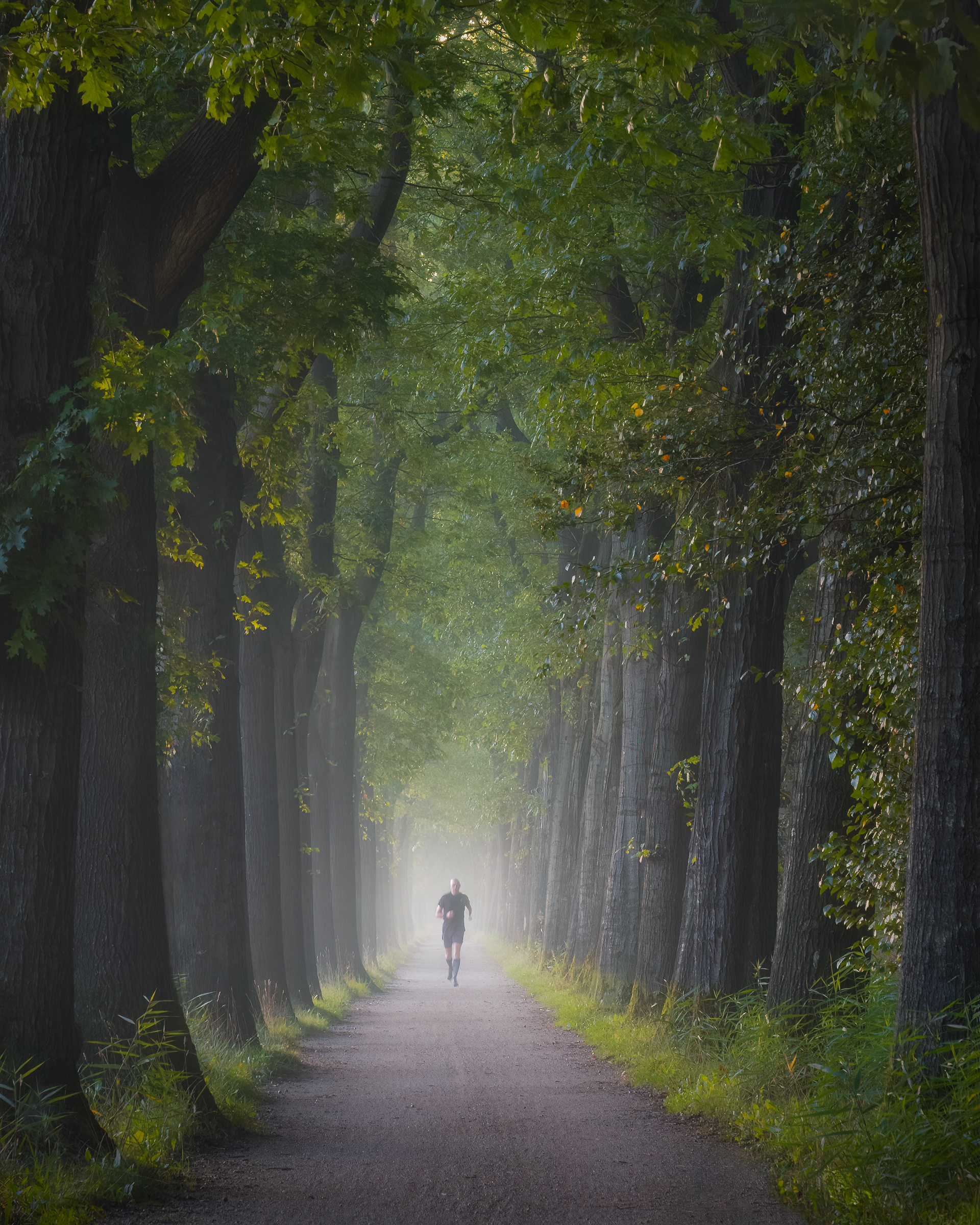 The Netherlands