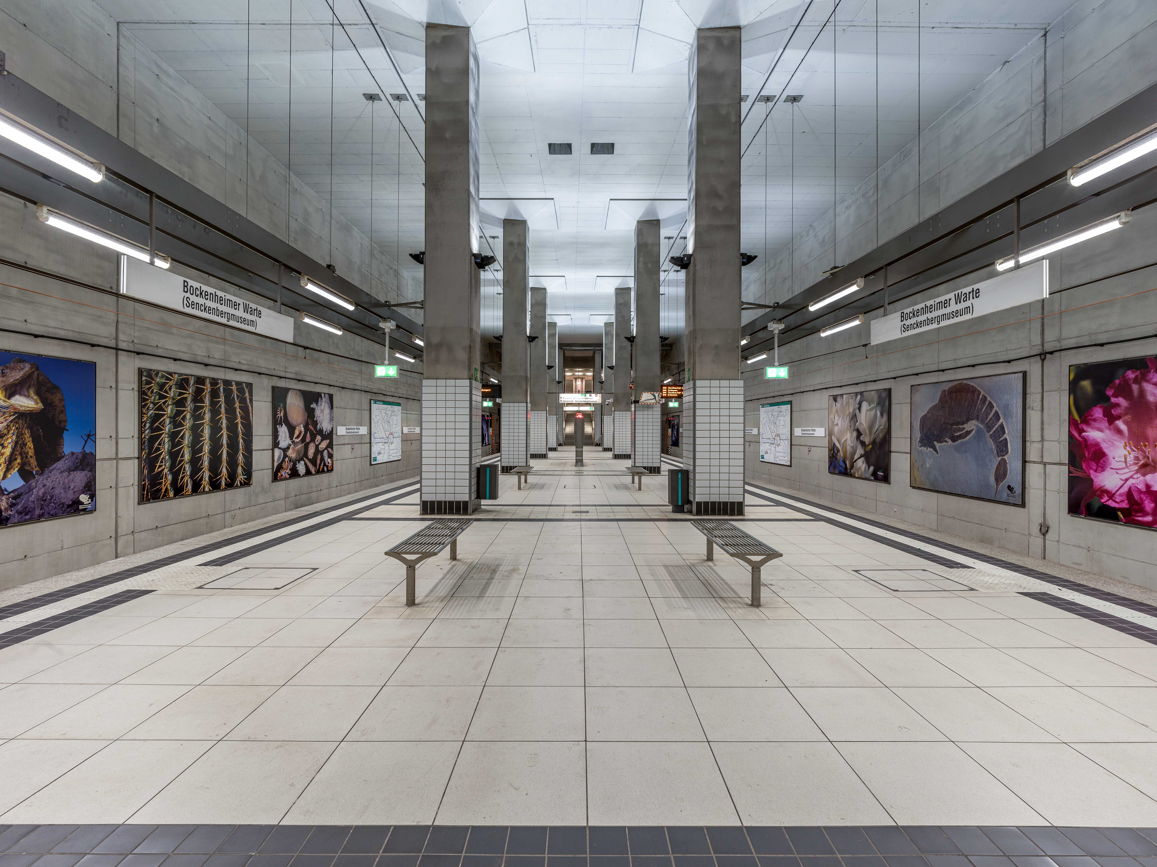 42 Bockenheimer Warte III U-Bahn-Station, Frankfurt am Main 2024