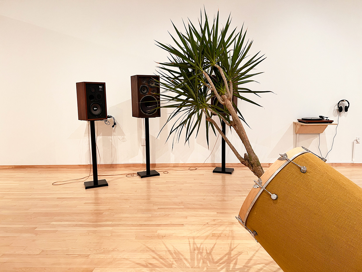 Music for plants by plants, 2022 Temple Contemporary