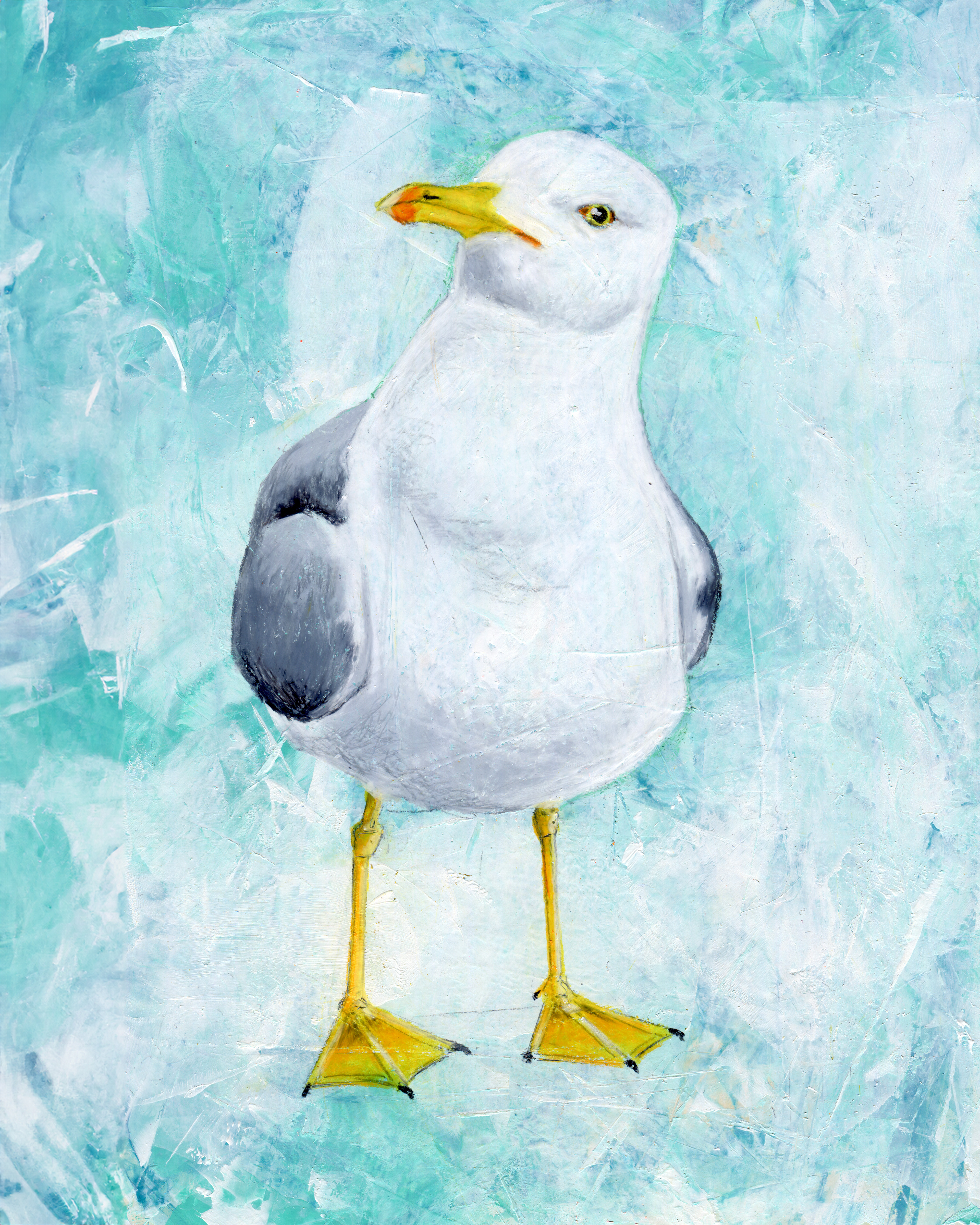 Charming Seagull