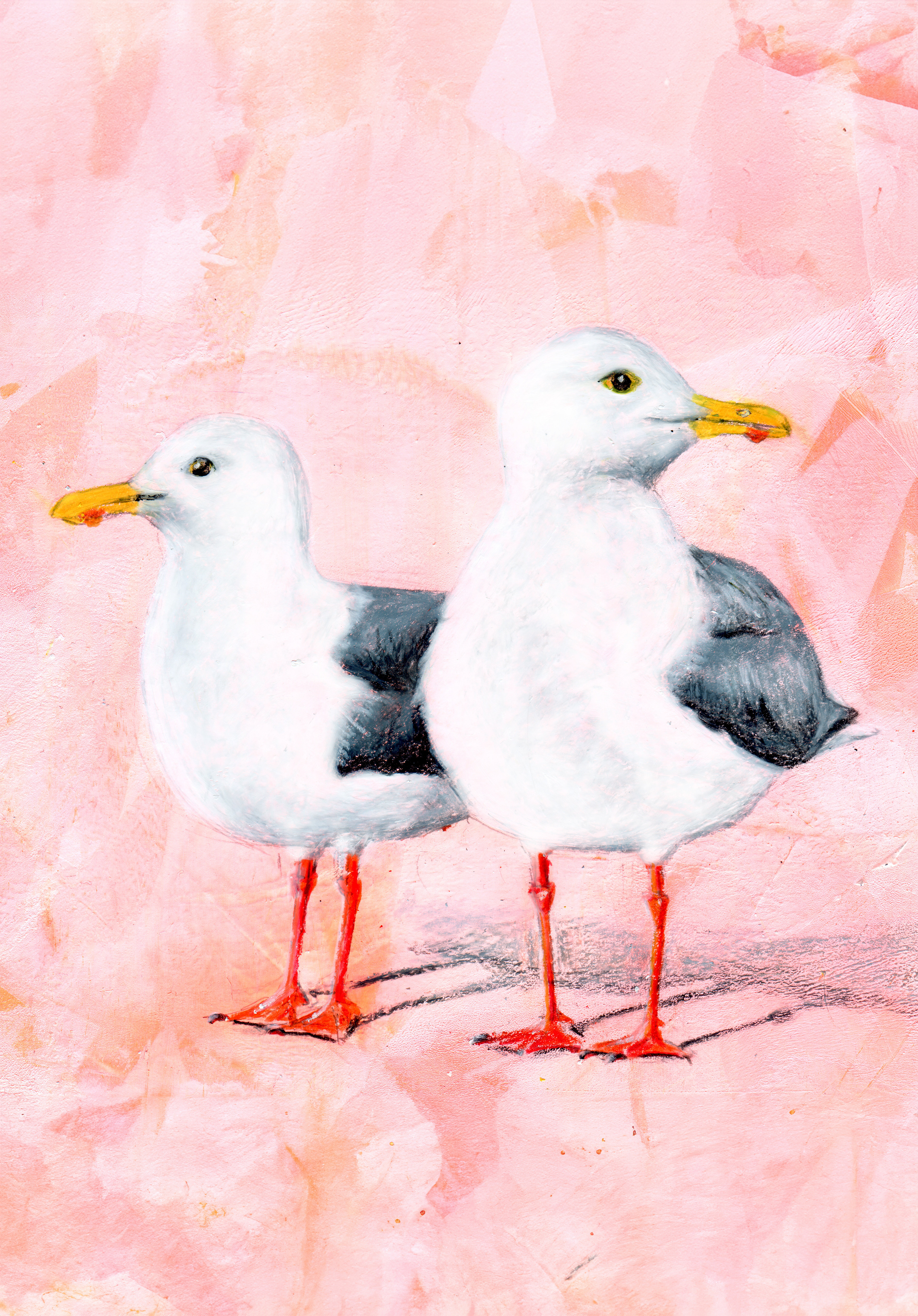 Seagulls in the morning sun