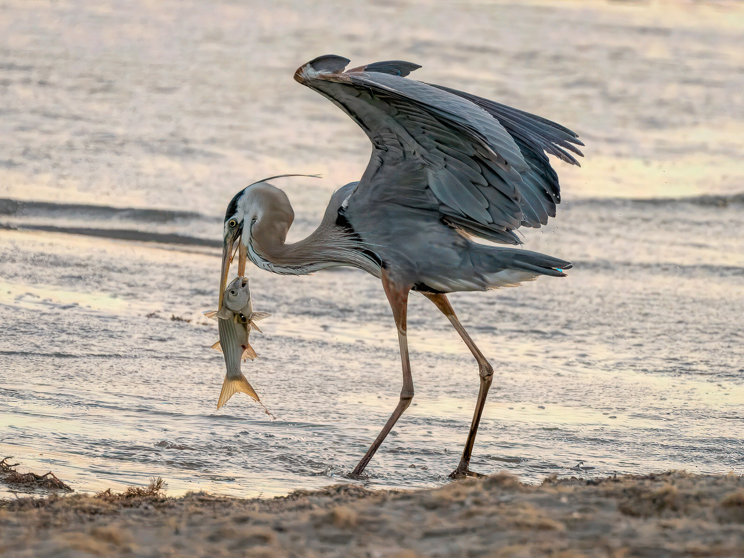 Terry Kahler Photography