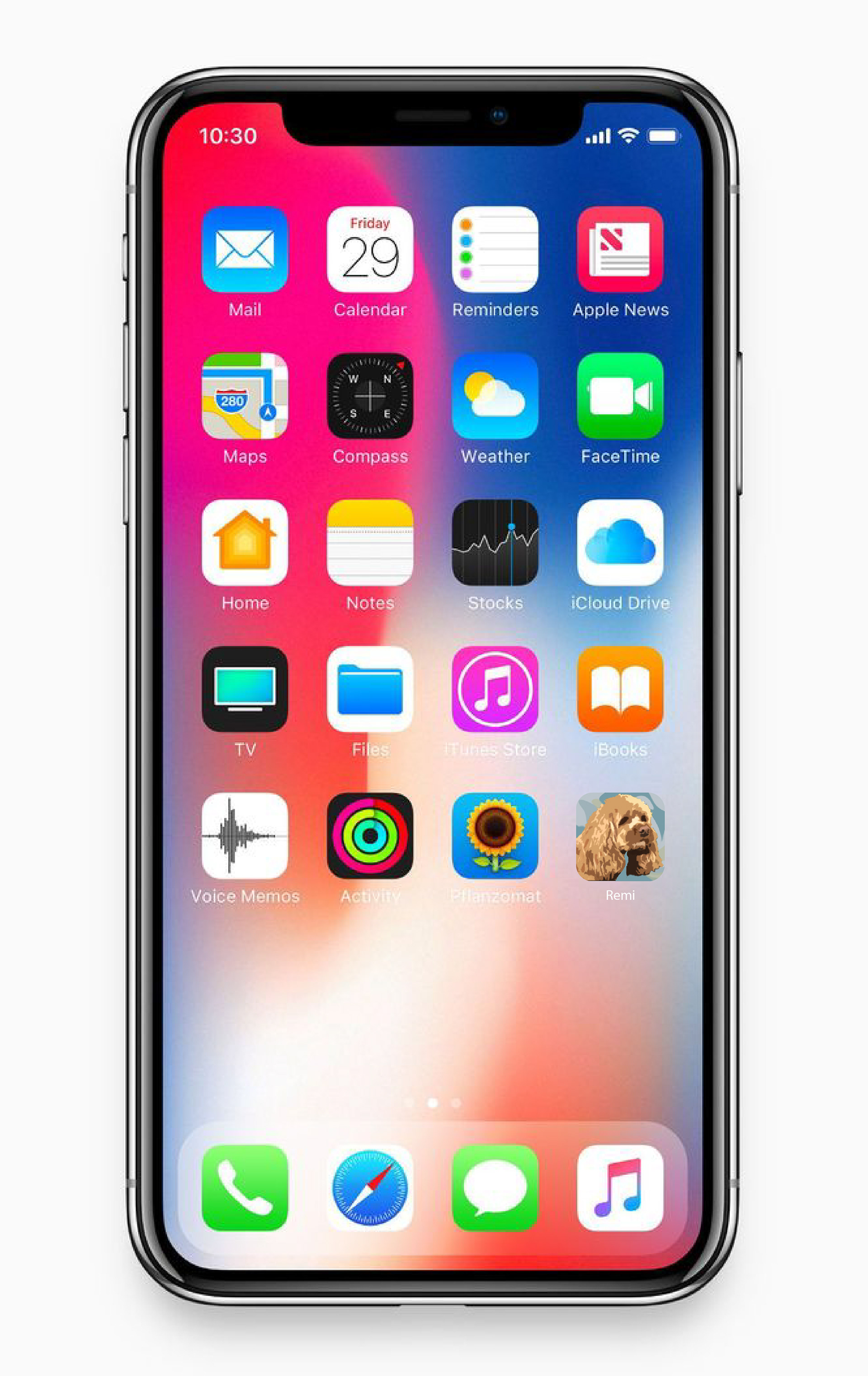 App Icon for Pet