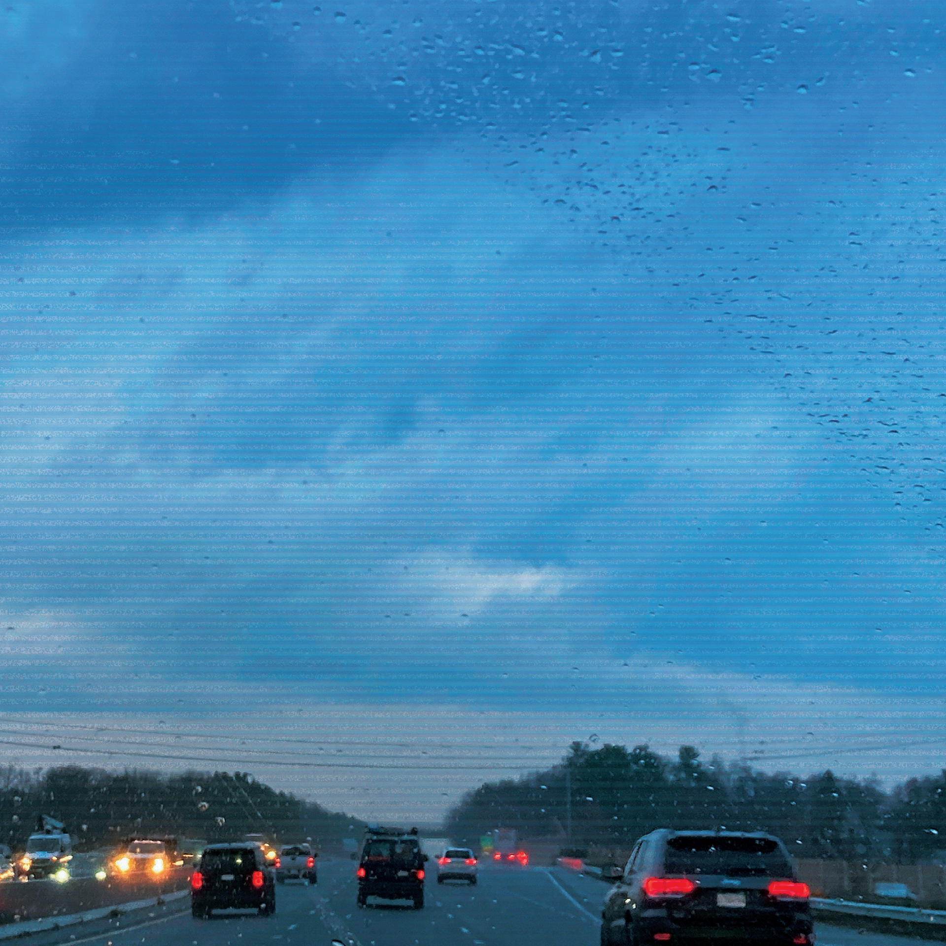 06. petrichor