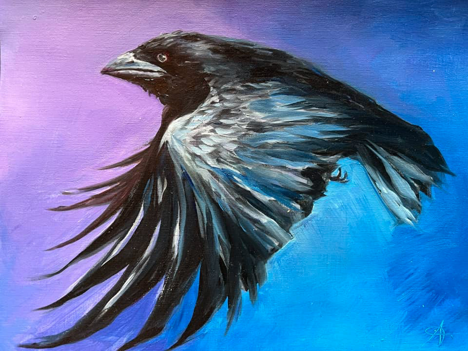 Solo Raven - SOLD - 16x11 Canvas Stock