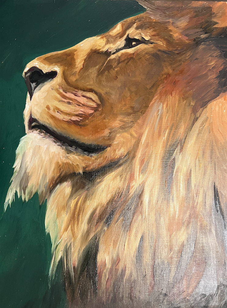 Mighty Lion - SOLD- 11x16 Canvas Stock