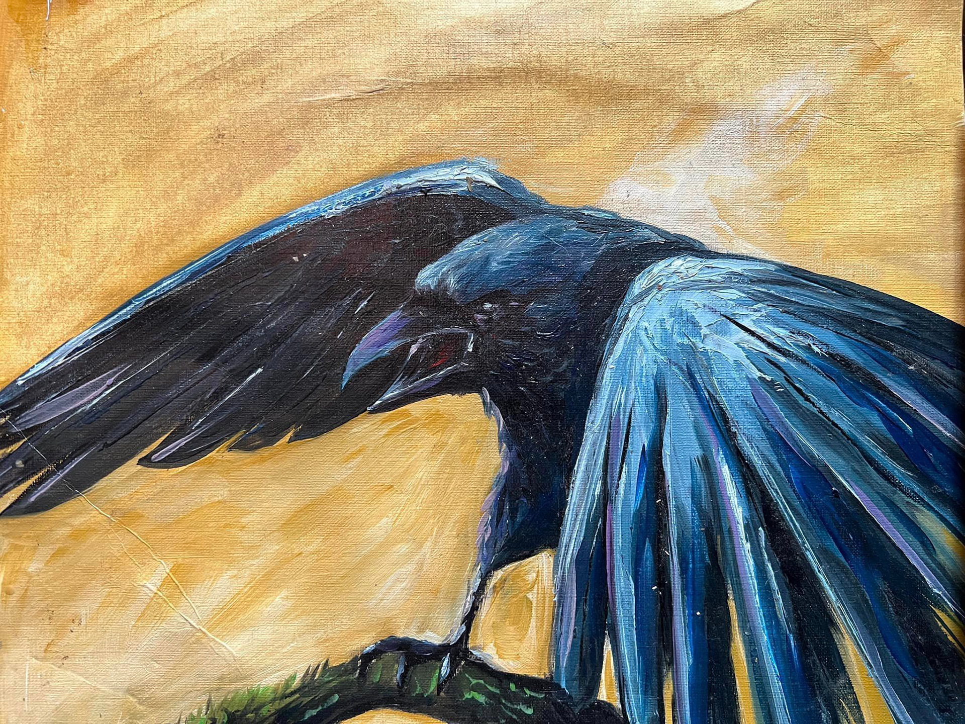 Raven Wing -16x11 Canvas Stock