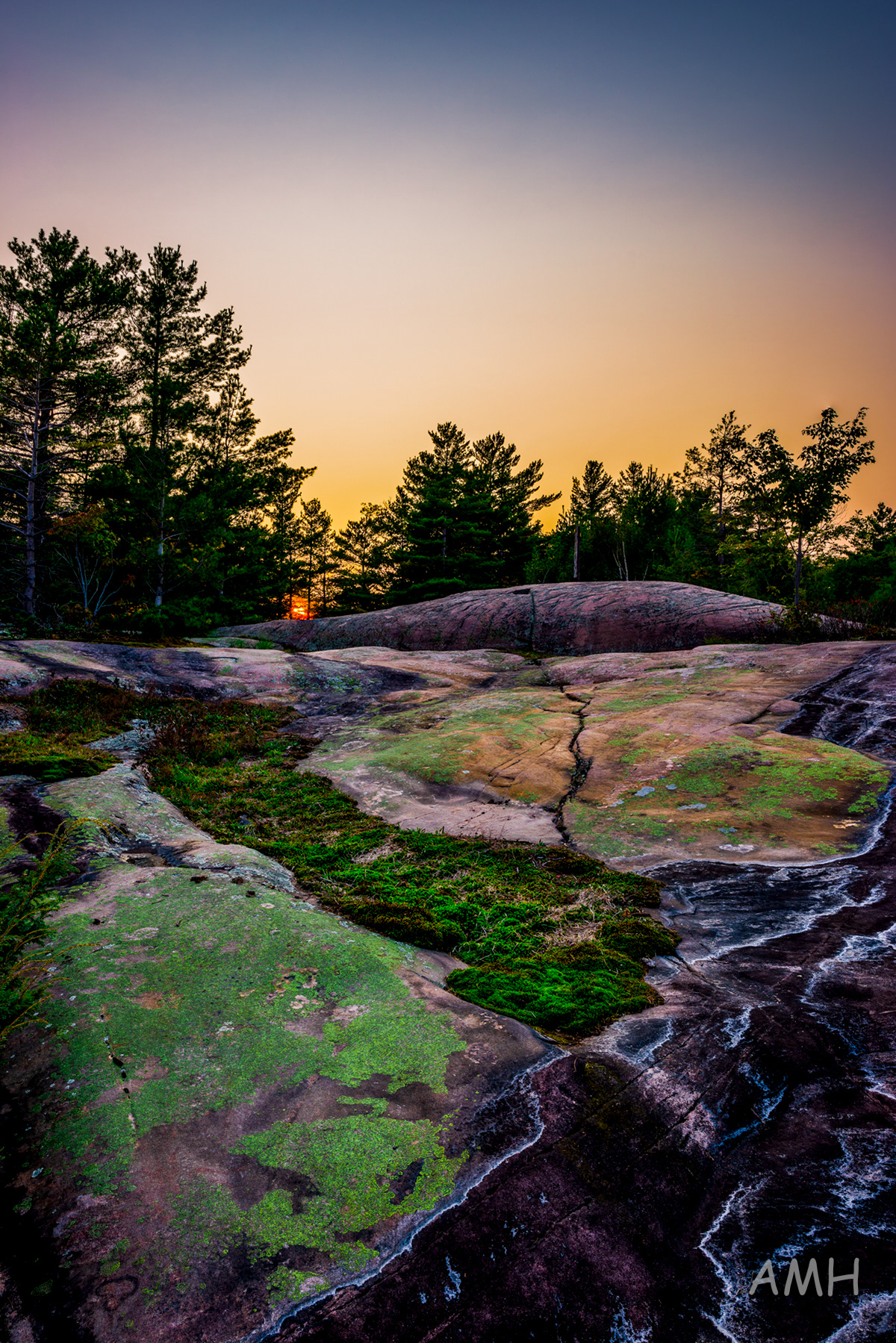 Nikon D810 + 24mm 1.4G