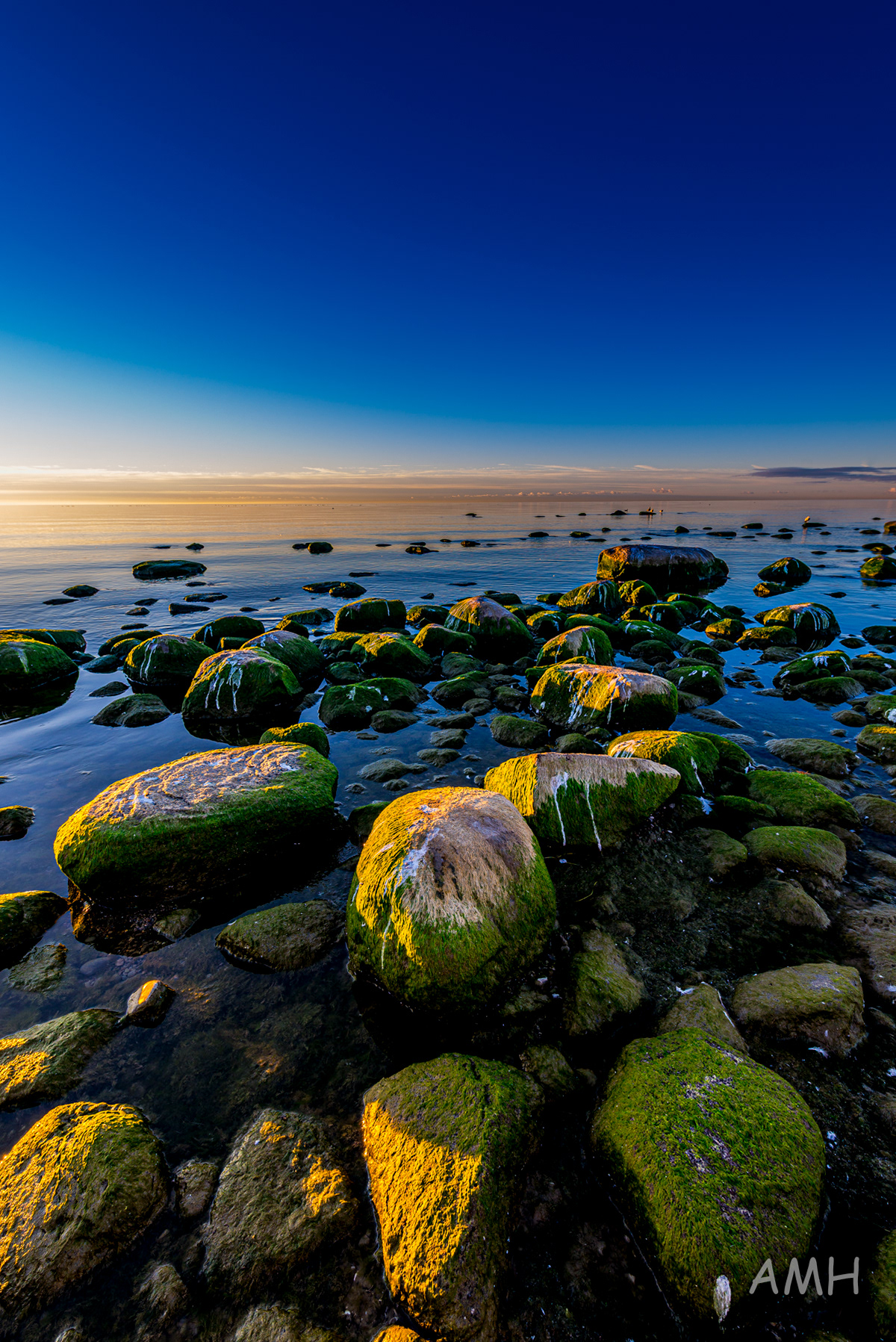 Nikon D610 + 14-24mm G