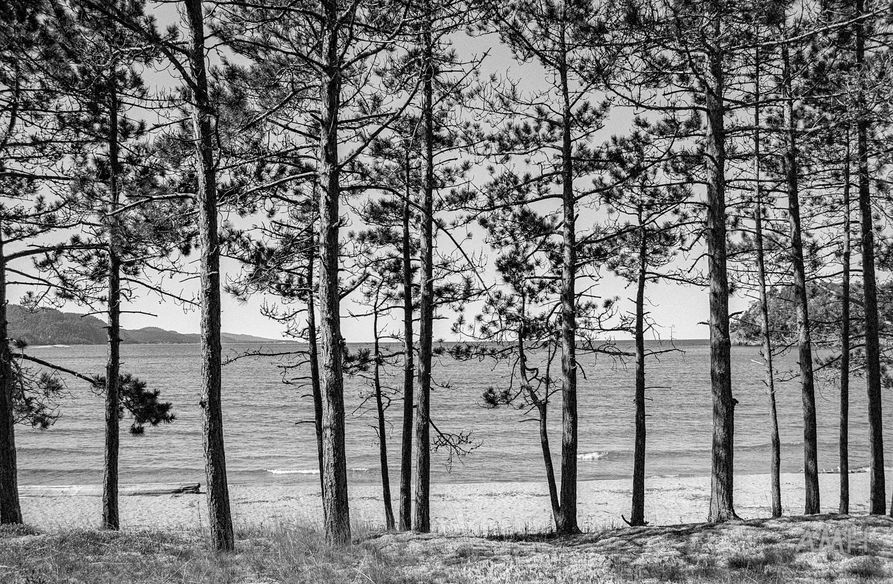 Nikon FE + 28mm Ilford XP2