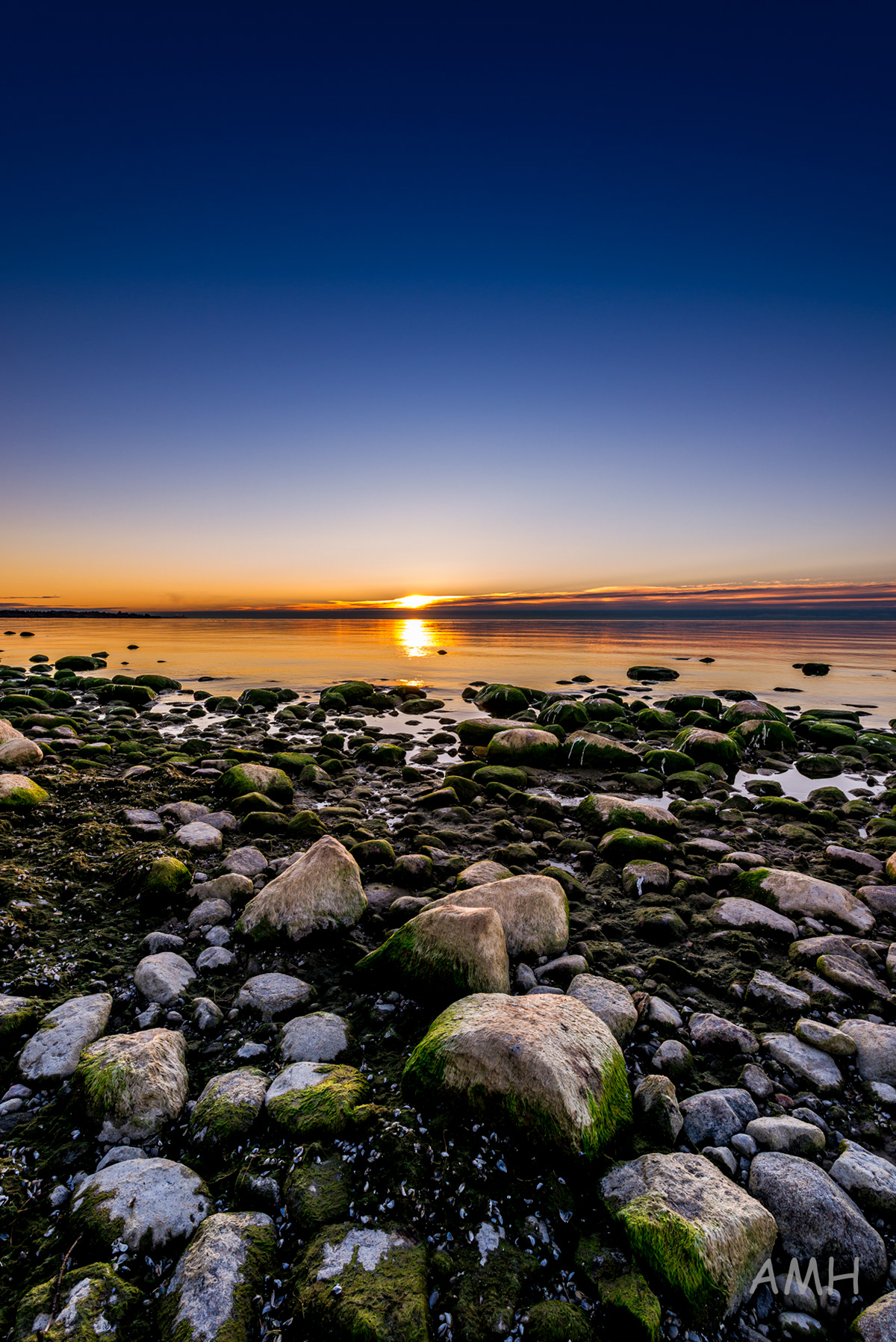 Nikon D610 + 14-24mm G