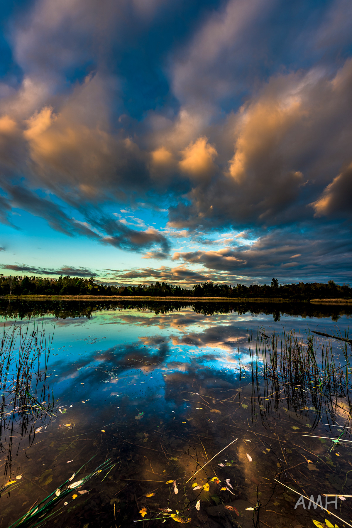 Nikon D810 + 14-24mm G