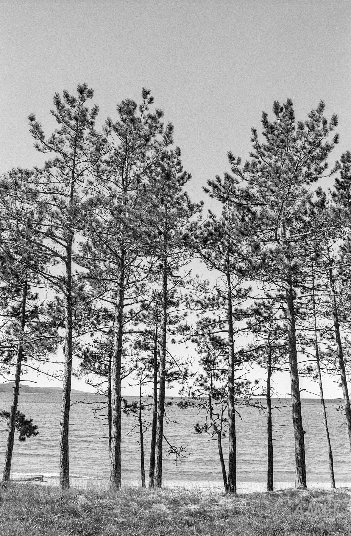 Nikon FE + 28mm Ilford XP2