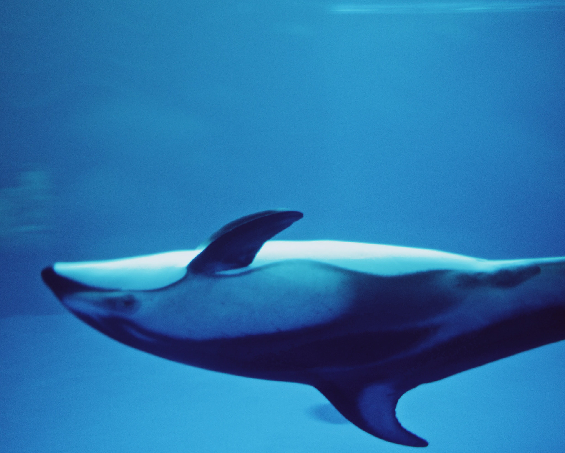 Processed with VSCO with kp1 preset