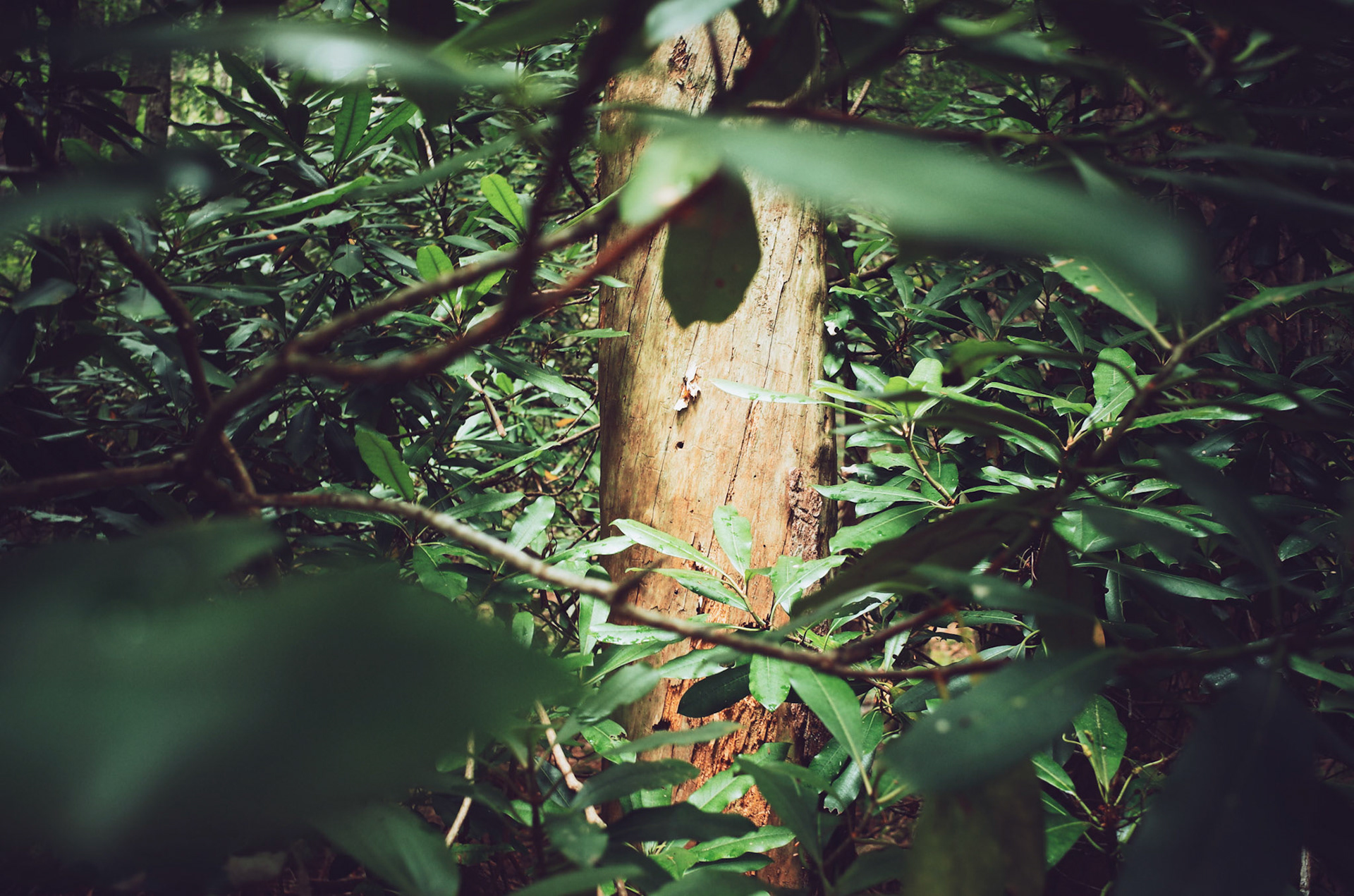                                                                 Processed with VSCO with a5 preset