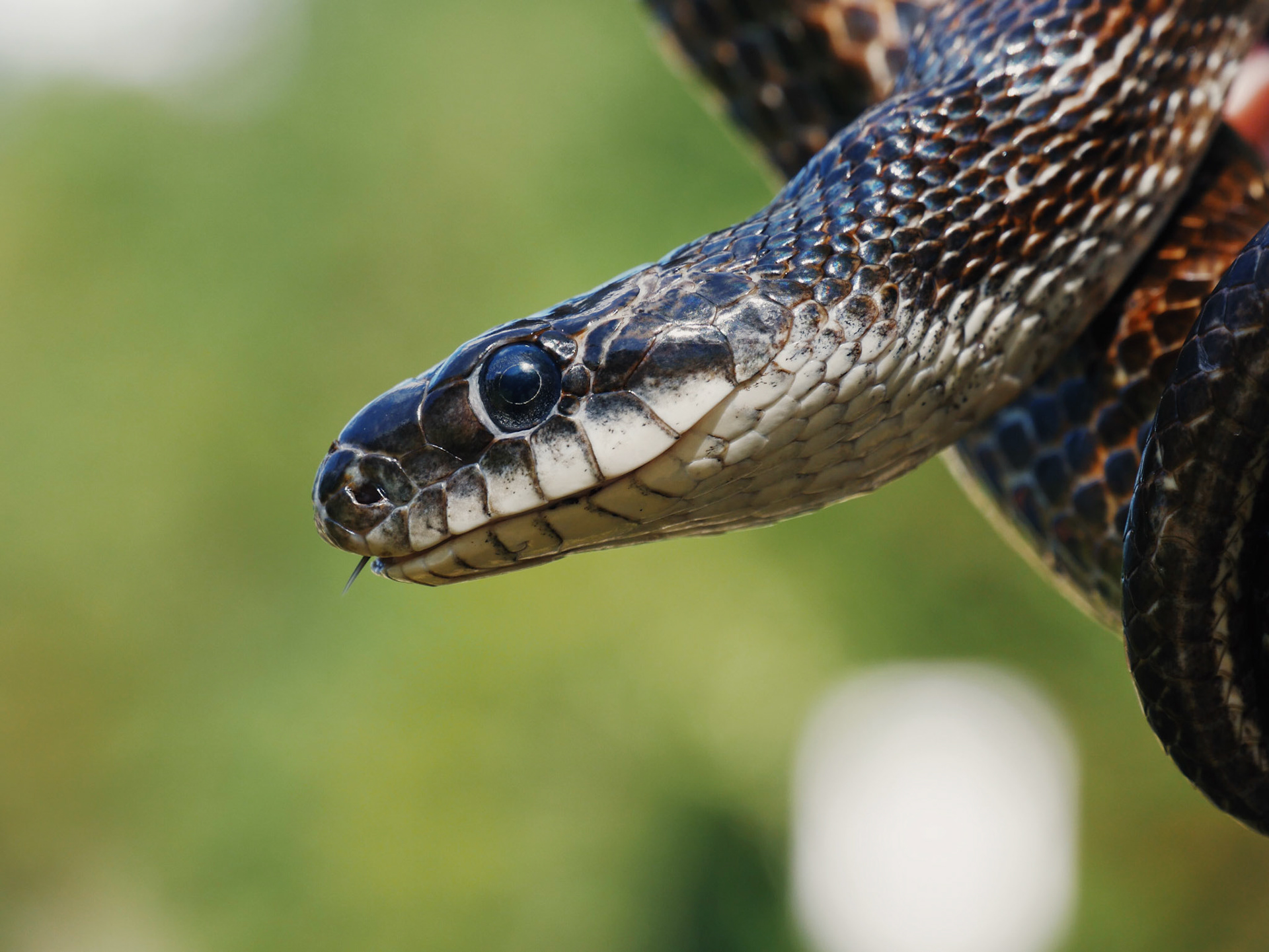 Processed with VSCO with ke1 preset