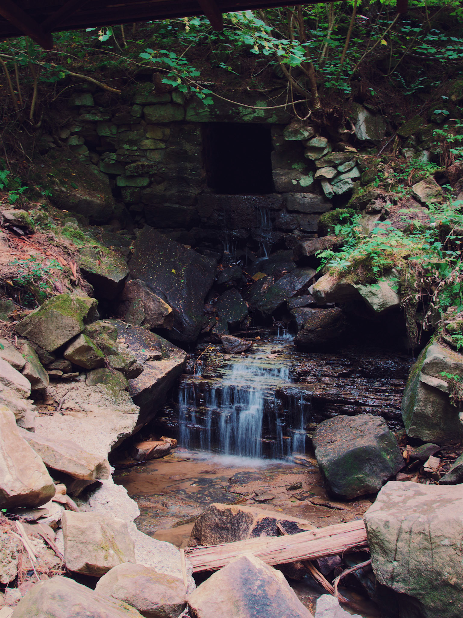 Processed with VSCO with s5 preset