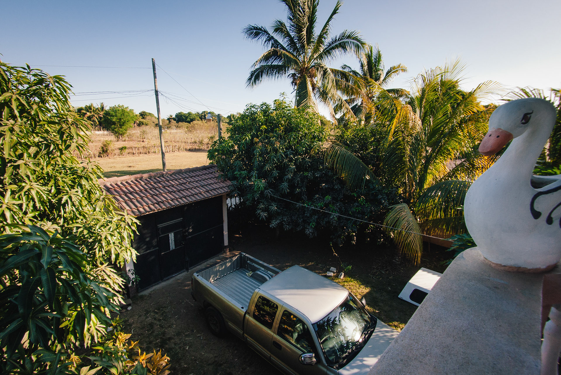 In a moment of gringo stupidity, I asked Nathan if this swan was there to keep bugs away. He looked at me strangely and said "No, it's just decorative".