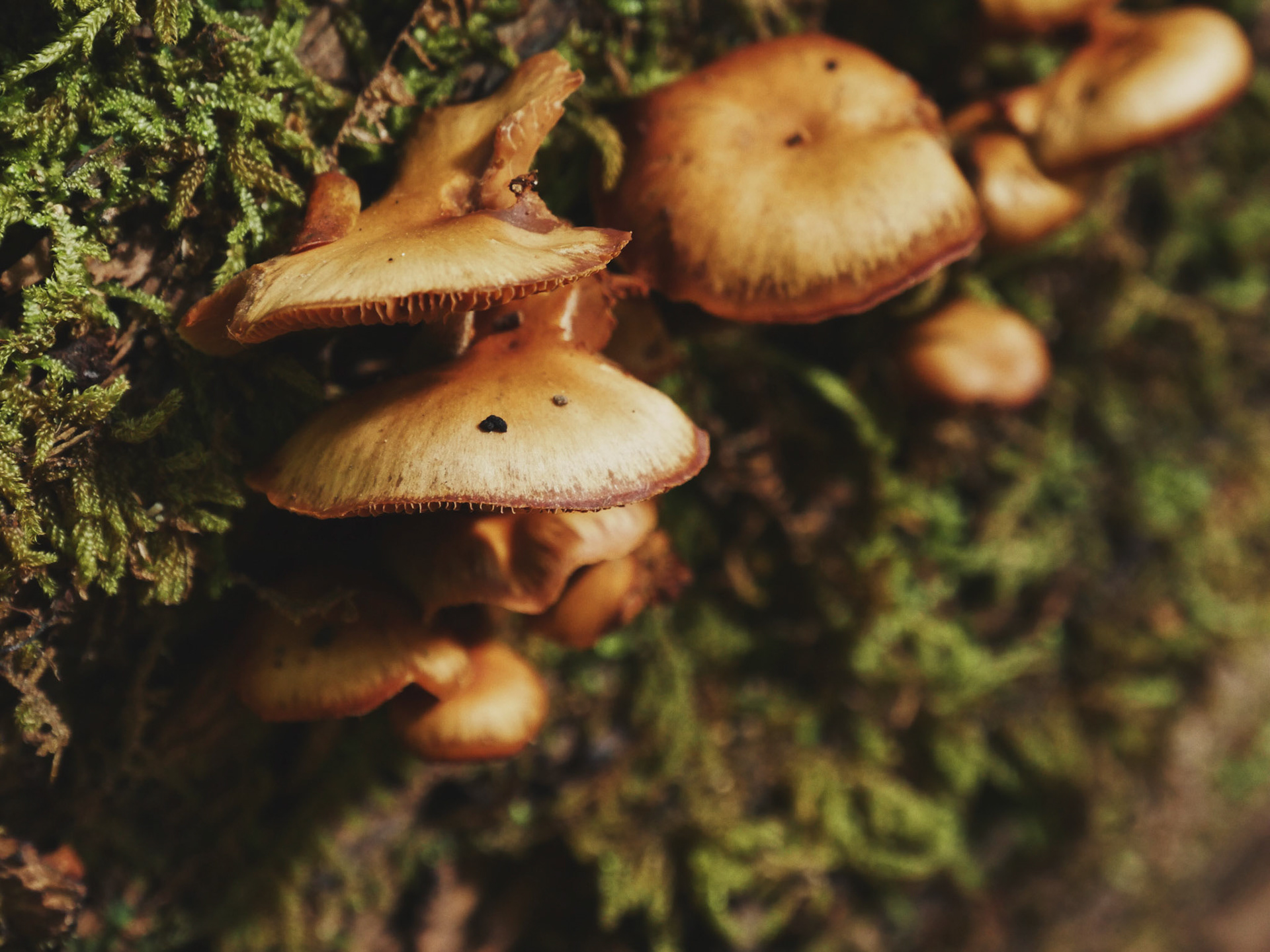 Processed with VSCO with 5 preset