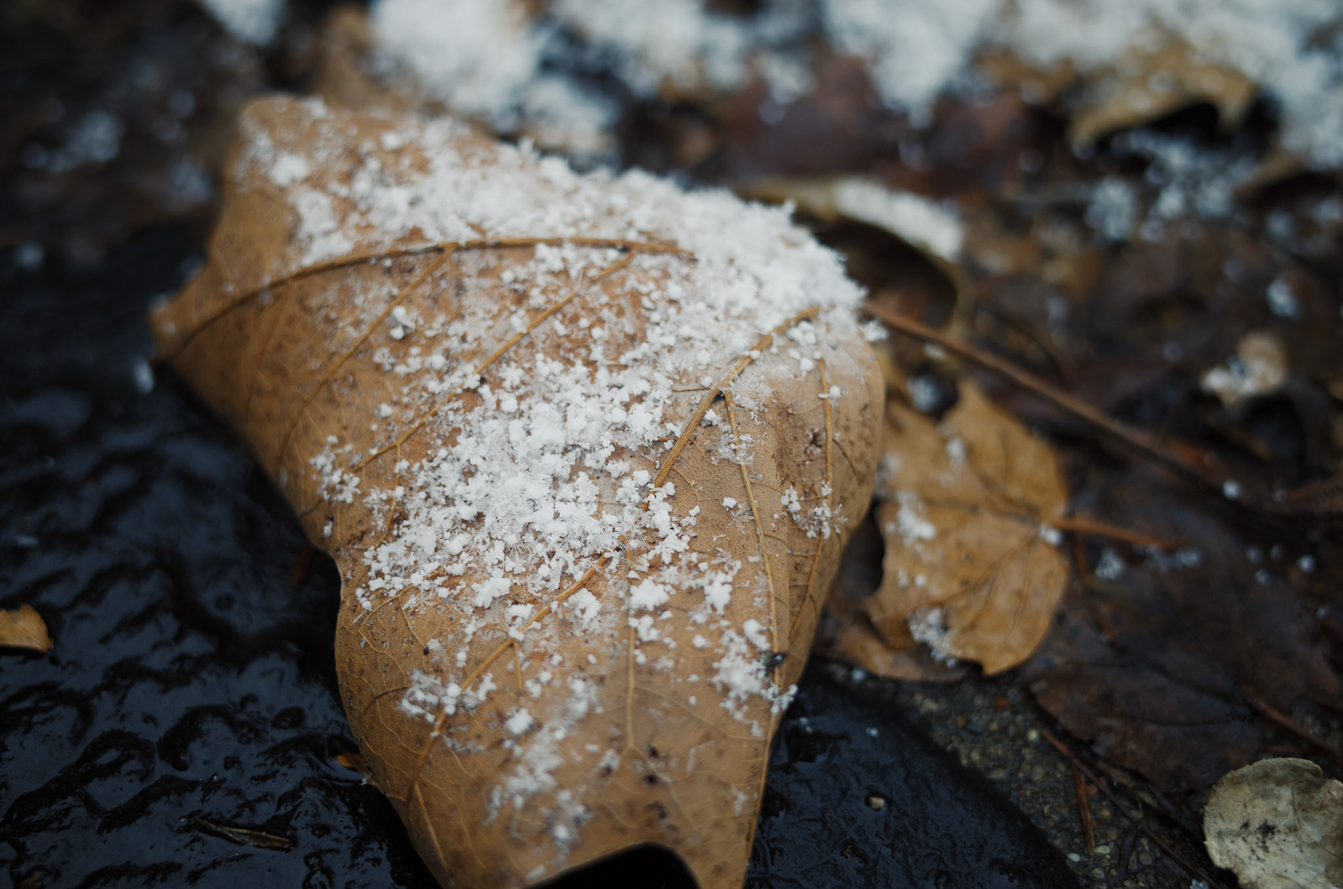 Processed with VSCO with ke1 preset