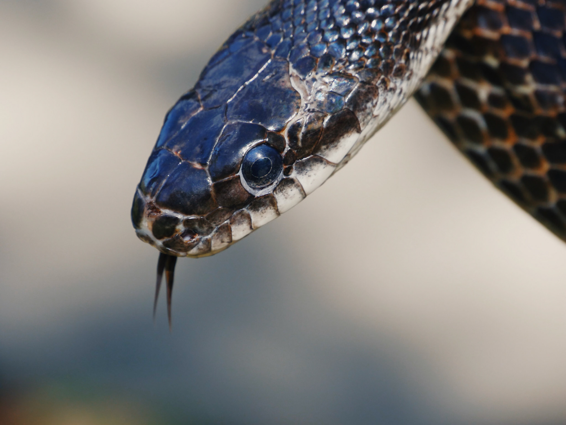 Processed with VSCO with ke1 preset