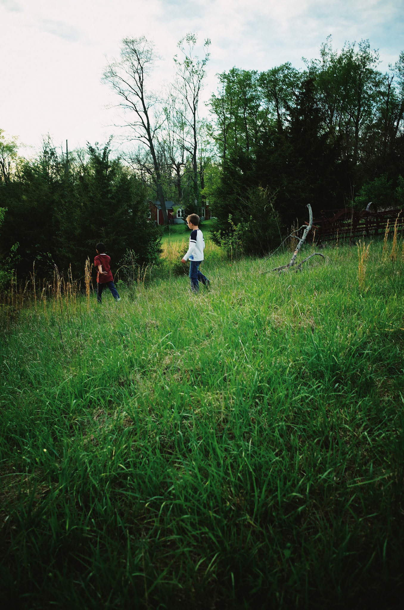 Processed with VSCO with fp8 preset