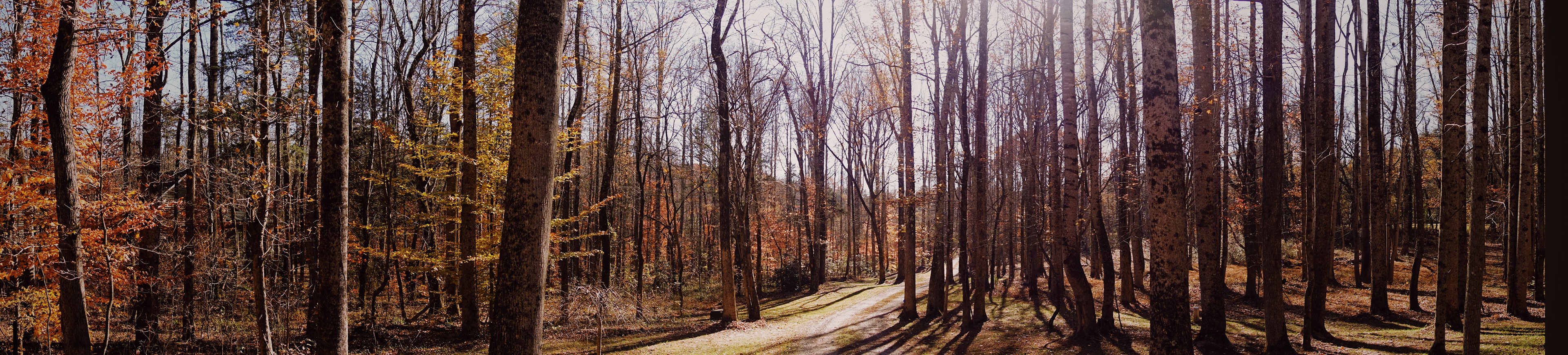                                 Processed with VSCO with au5 preset