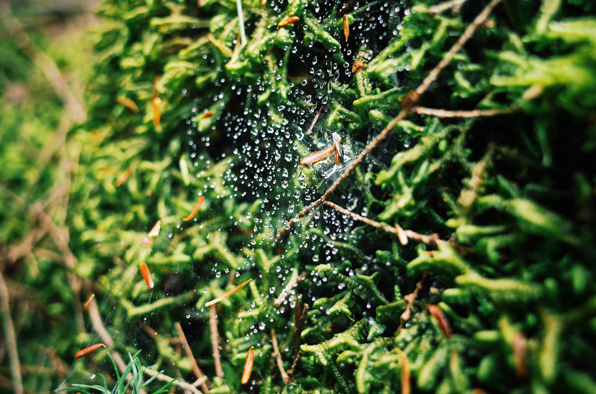                                                                 Processed with VSCO with g3 preset