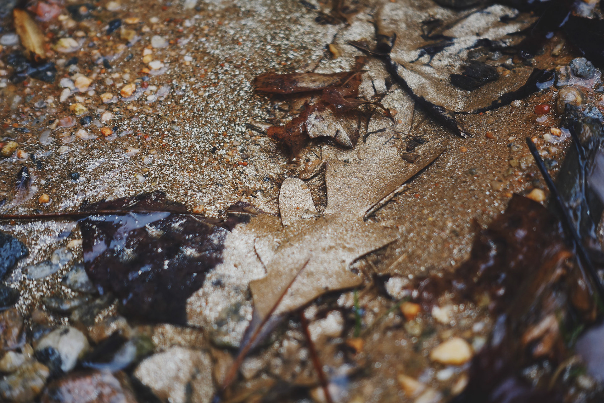                                 Processed with VSCO with av4 preset