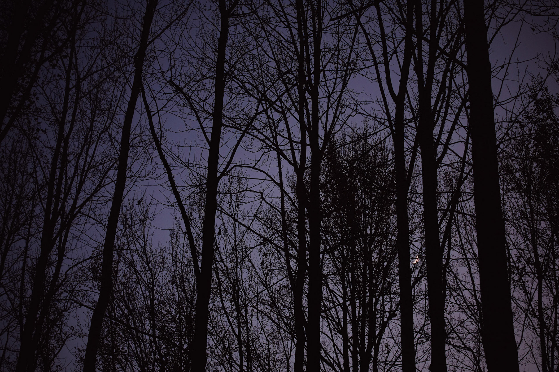                                 Processed with VSCO with au5 preset