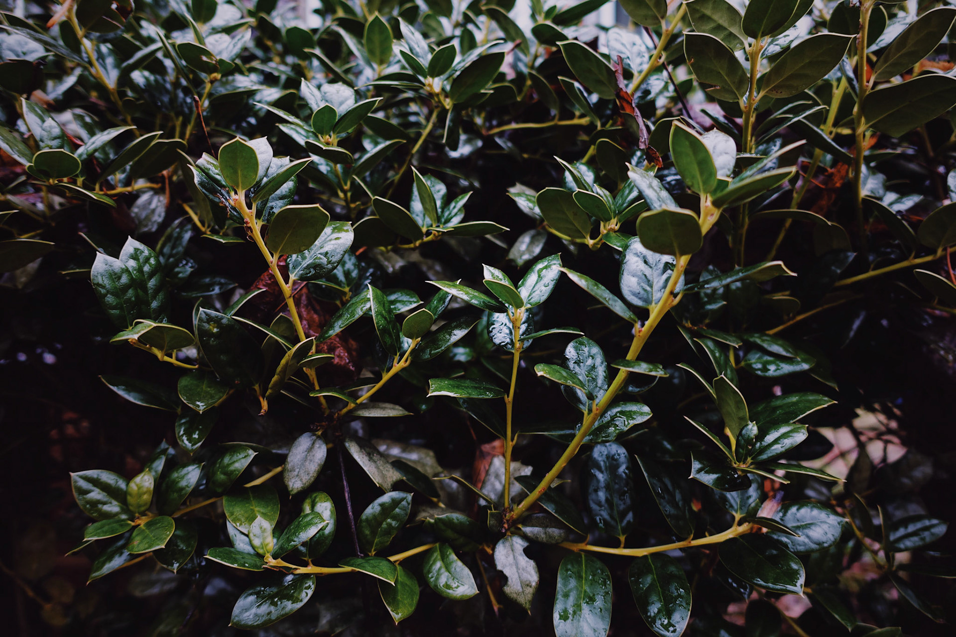                                 Processed with VSCO with au5 preset