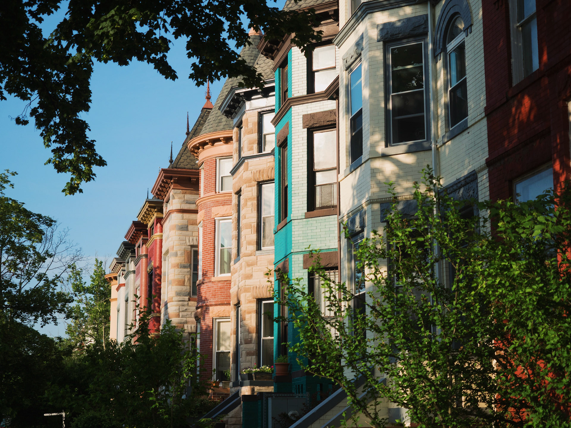 Processed with VSCO with fp8 preset