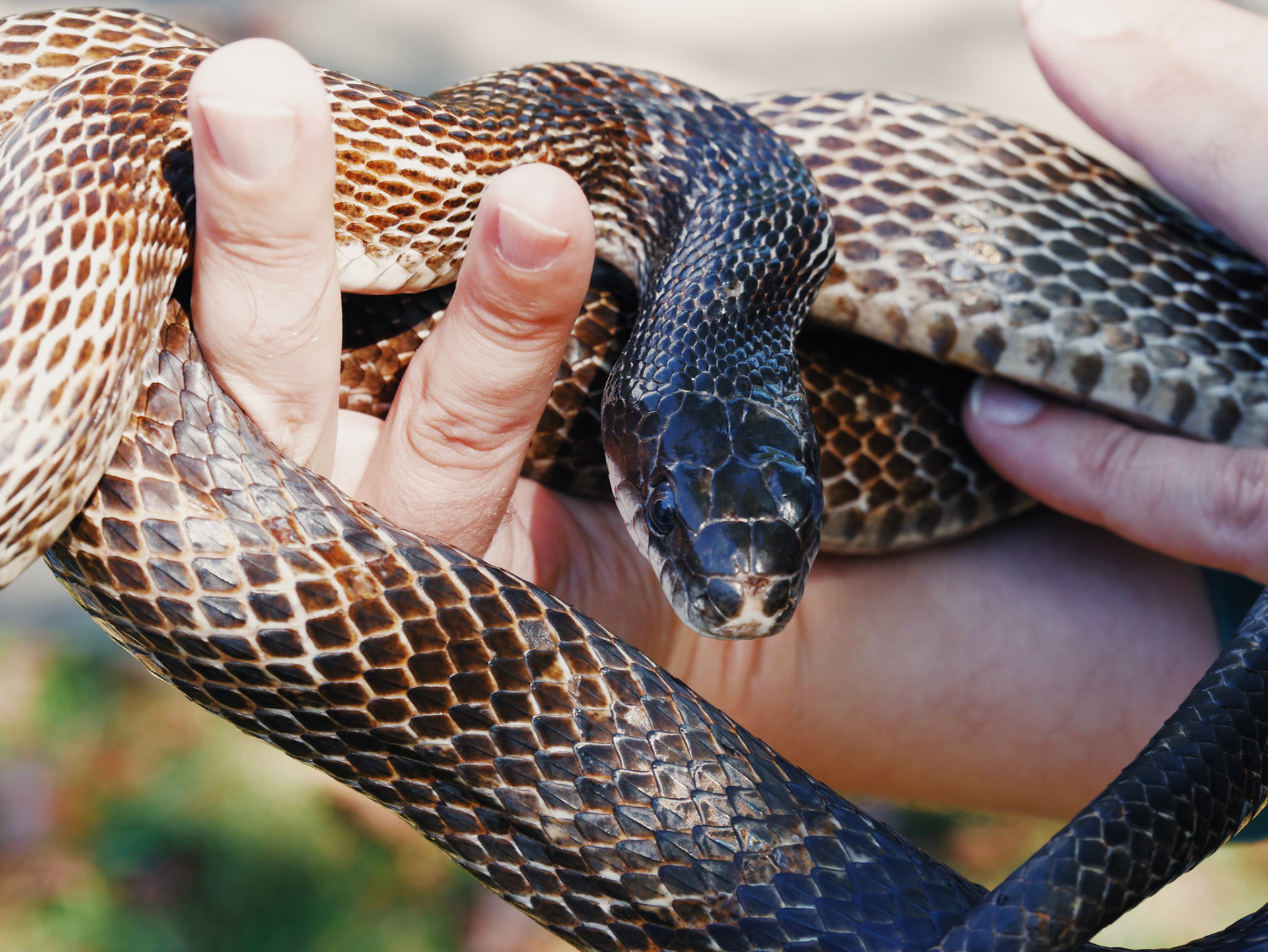 Processed with VSCO with ke1 preset