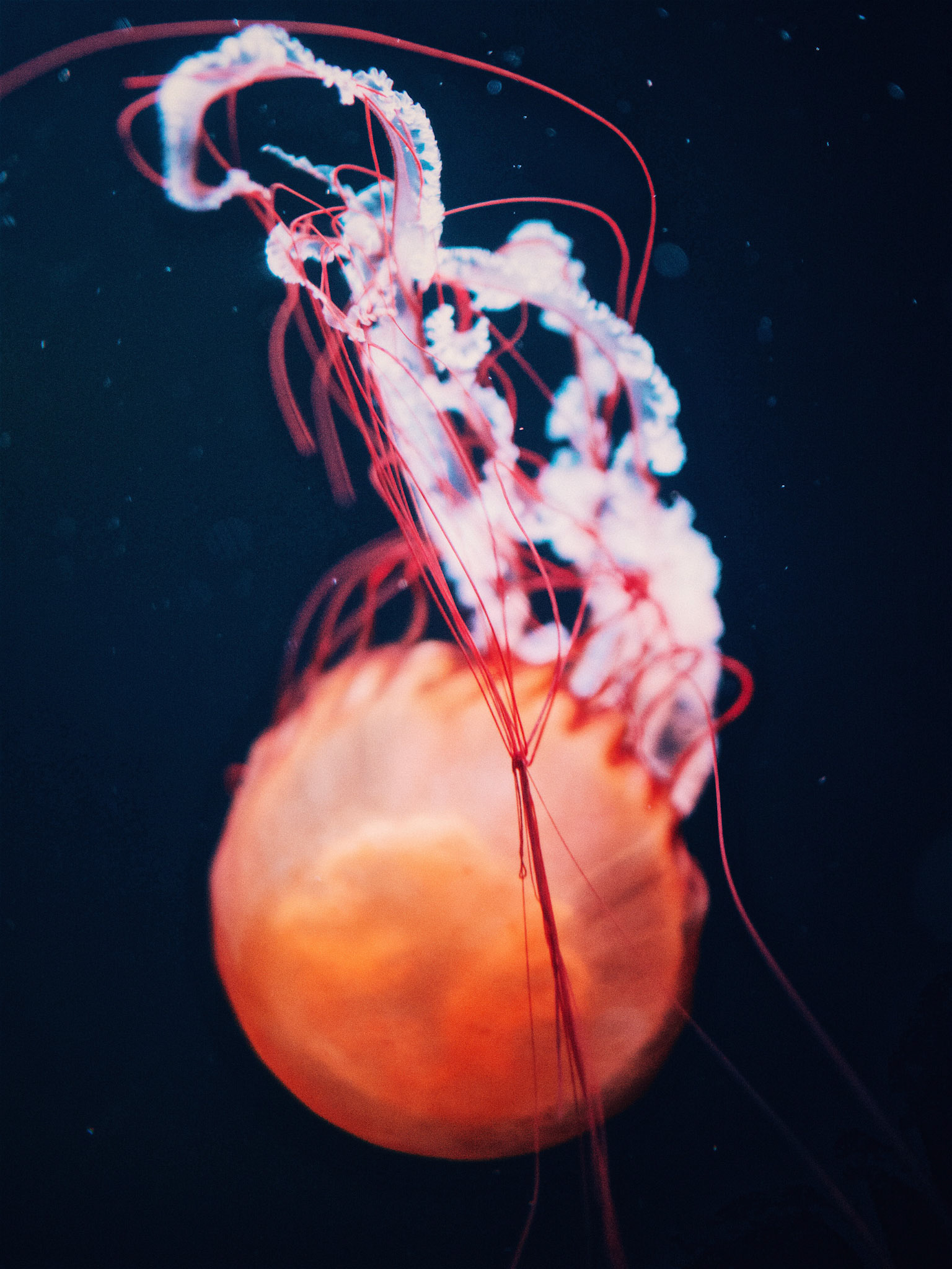 Processed with VSCO with e2 preset