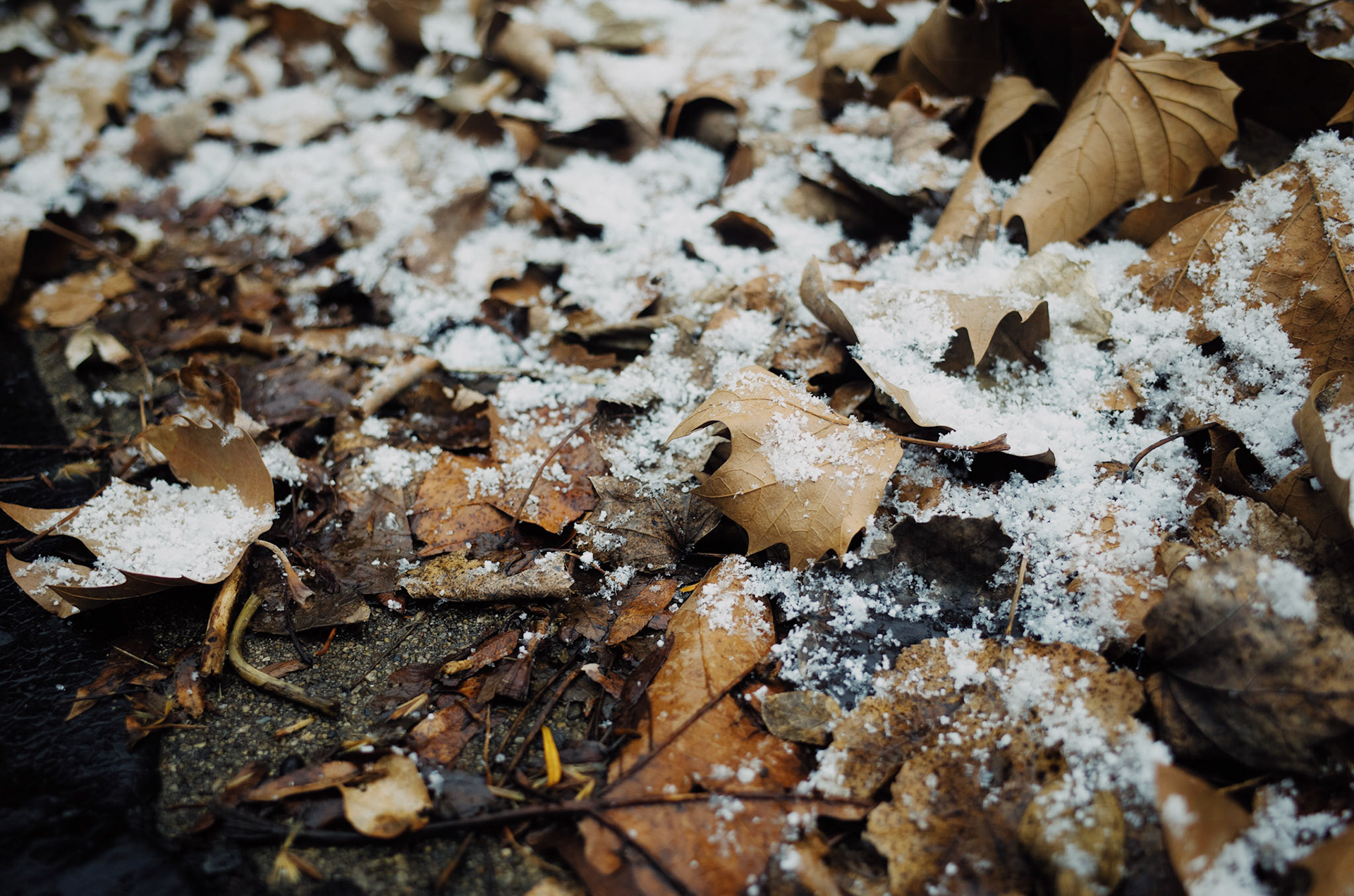 Processed with VSCO with kp3 preset