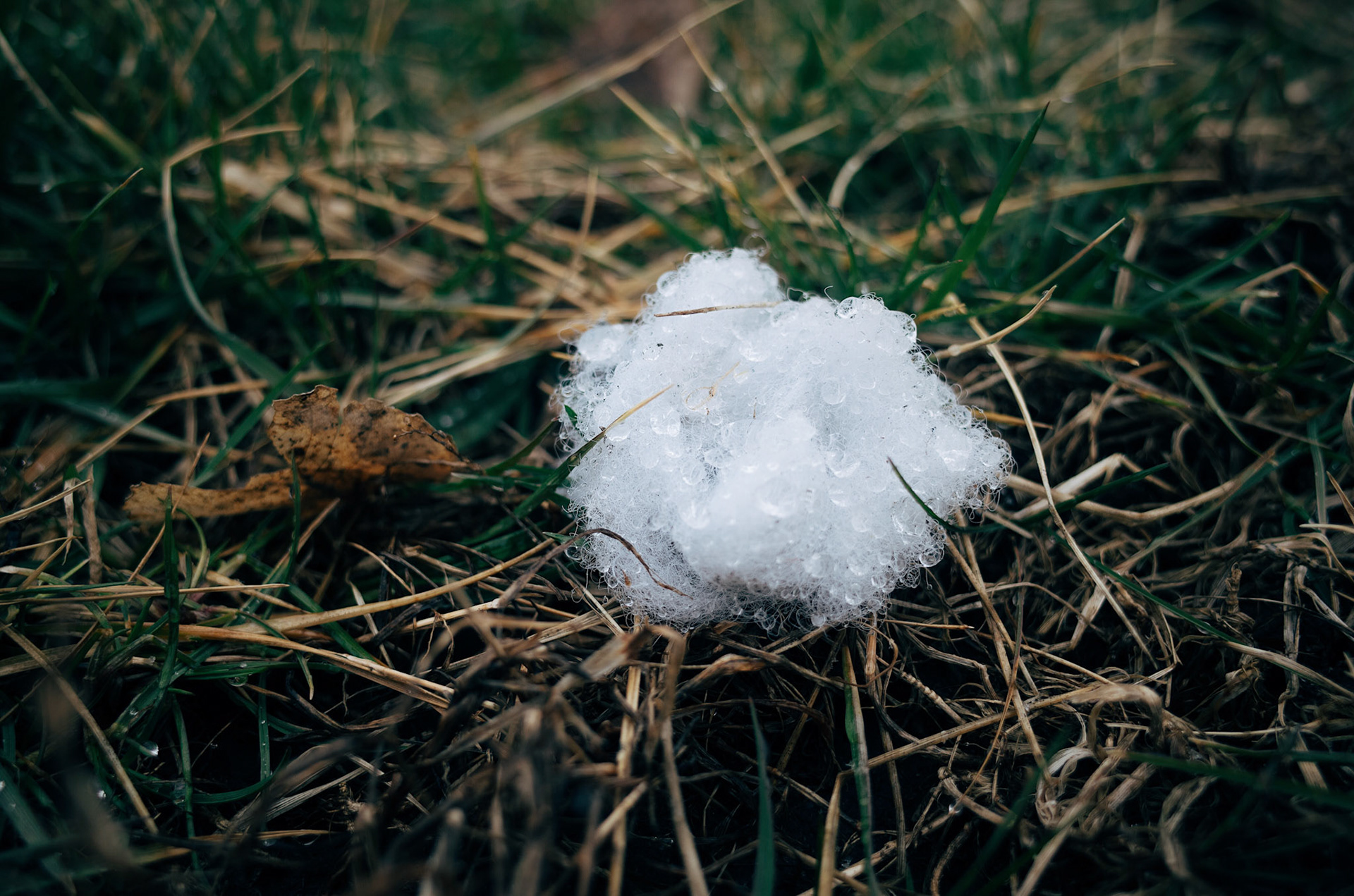 Processed with VSCO with e1 preset