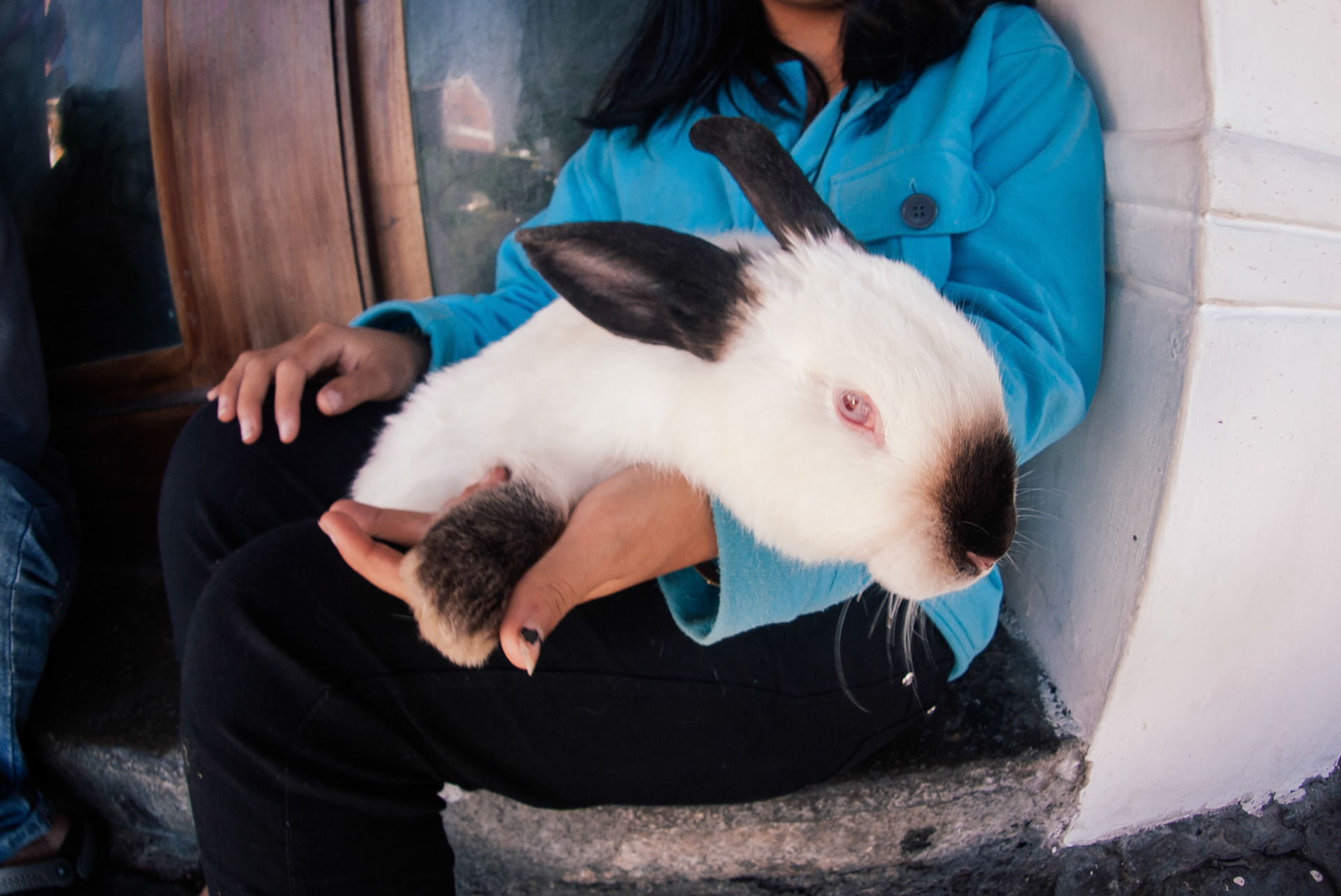 This giant bunny conned us into spending too much money on a little bracelet.