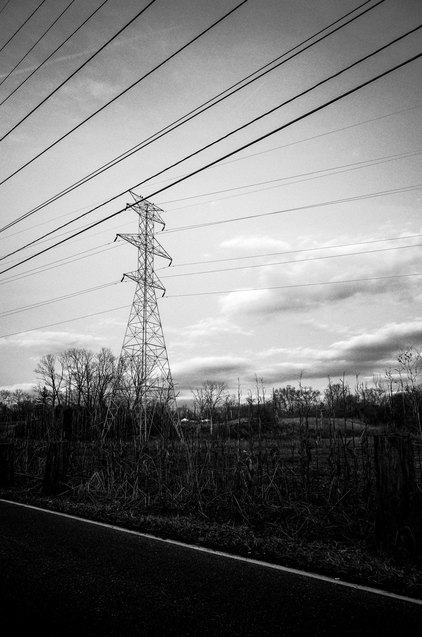 Power Lines
