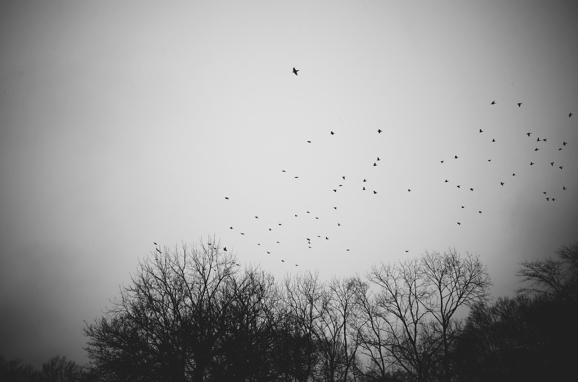 Processed with VSCO with fn16 preset