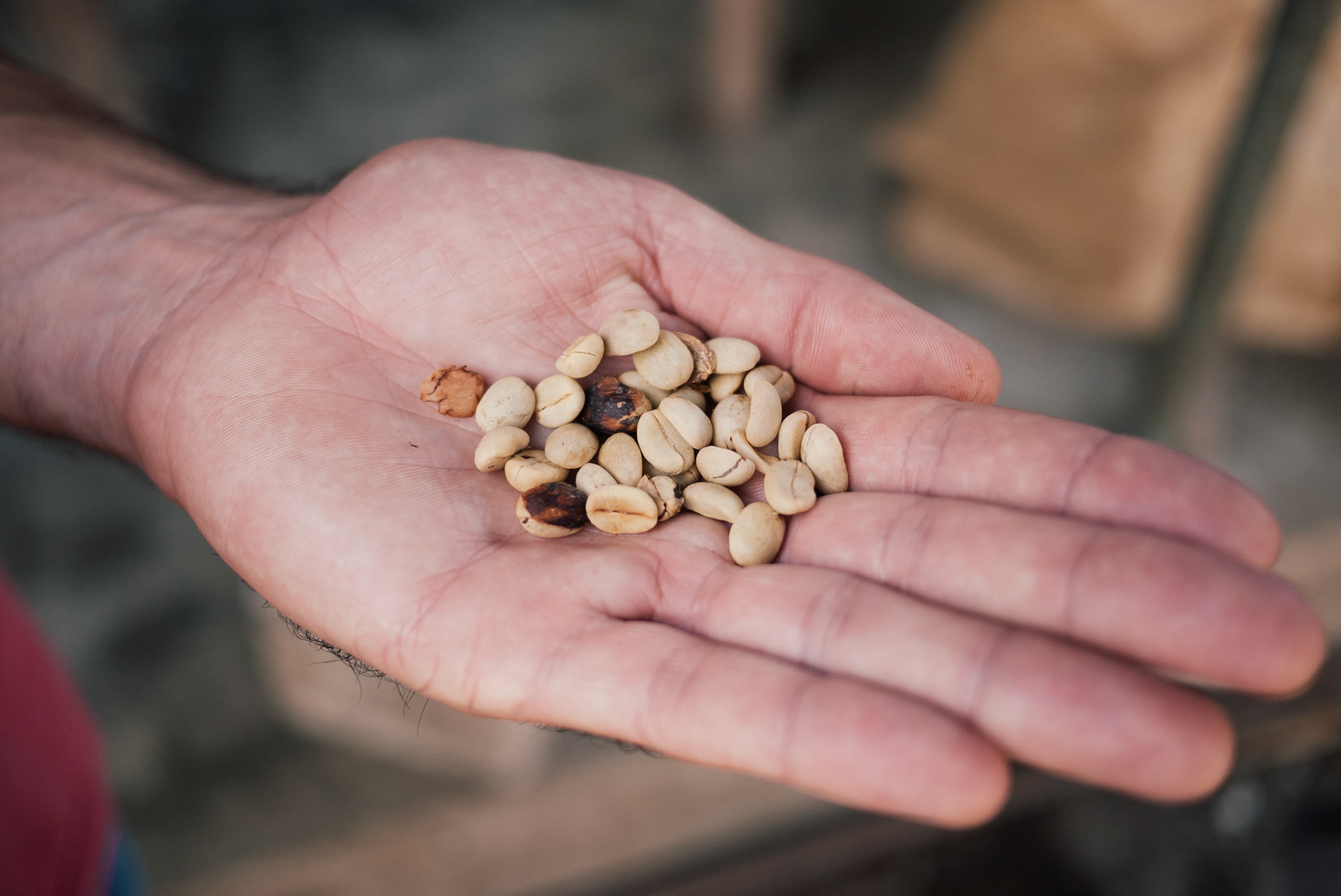 All that work for THIS??