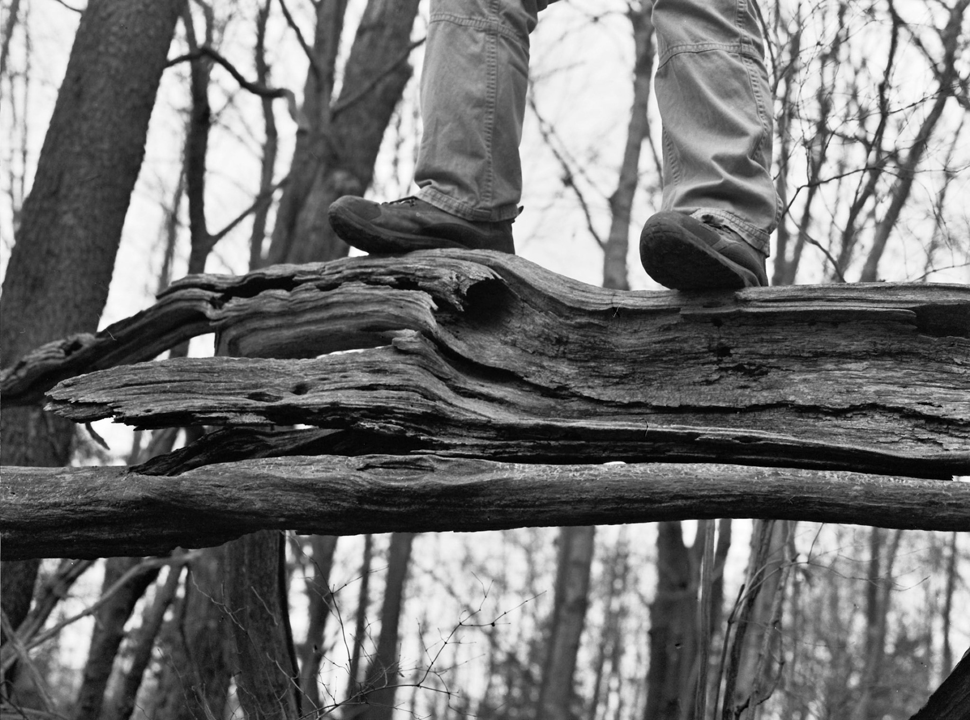 Caesar's Creek - Christmas Day 2015