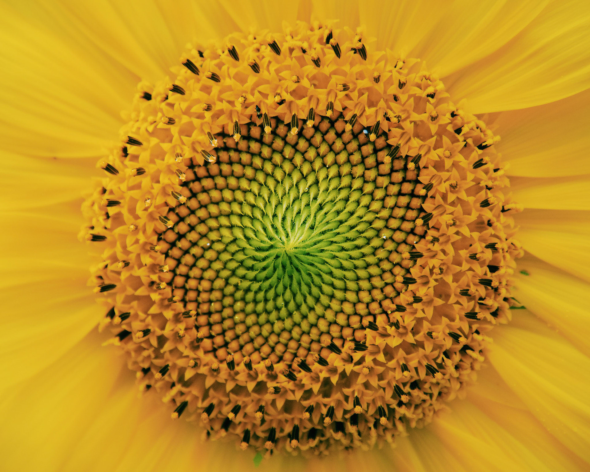 Processed with VSCO with c1 preset