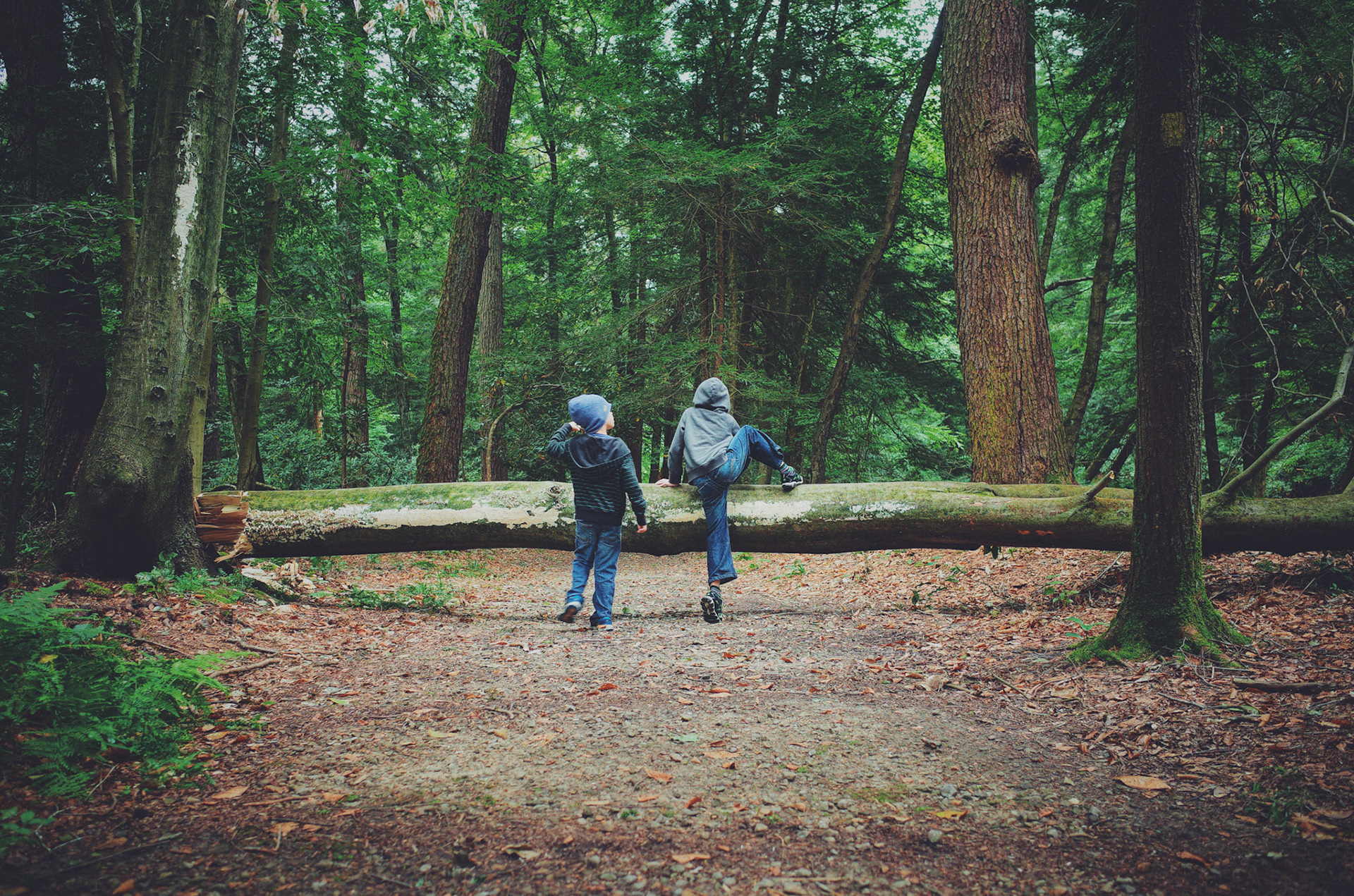                                                                 Processed with VSCO with f2 preset