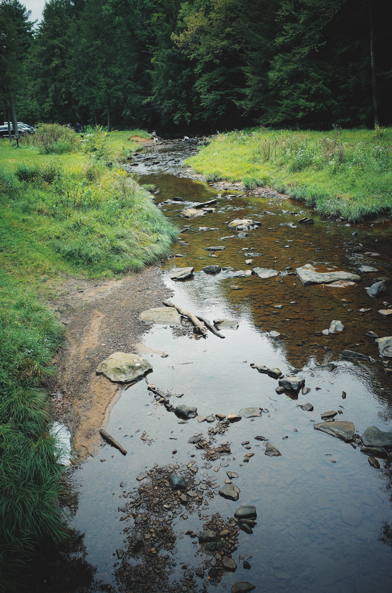                                                                 Processed with VSCO with fp8 preset