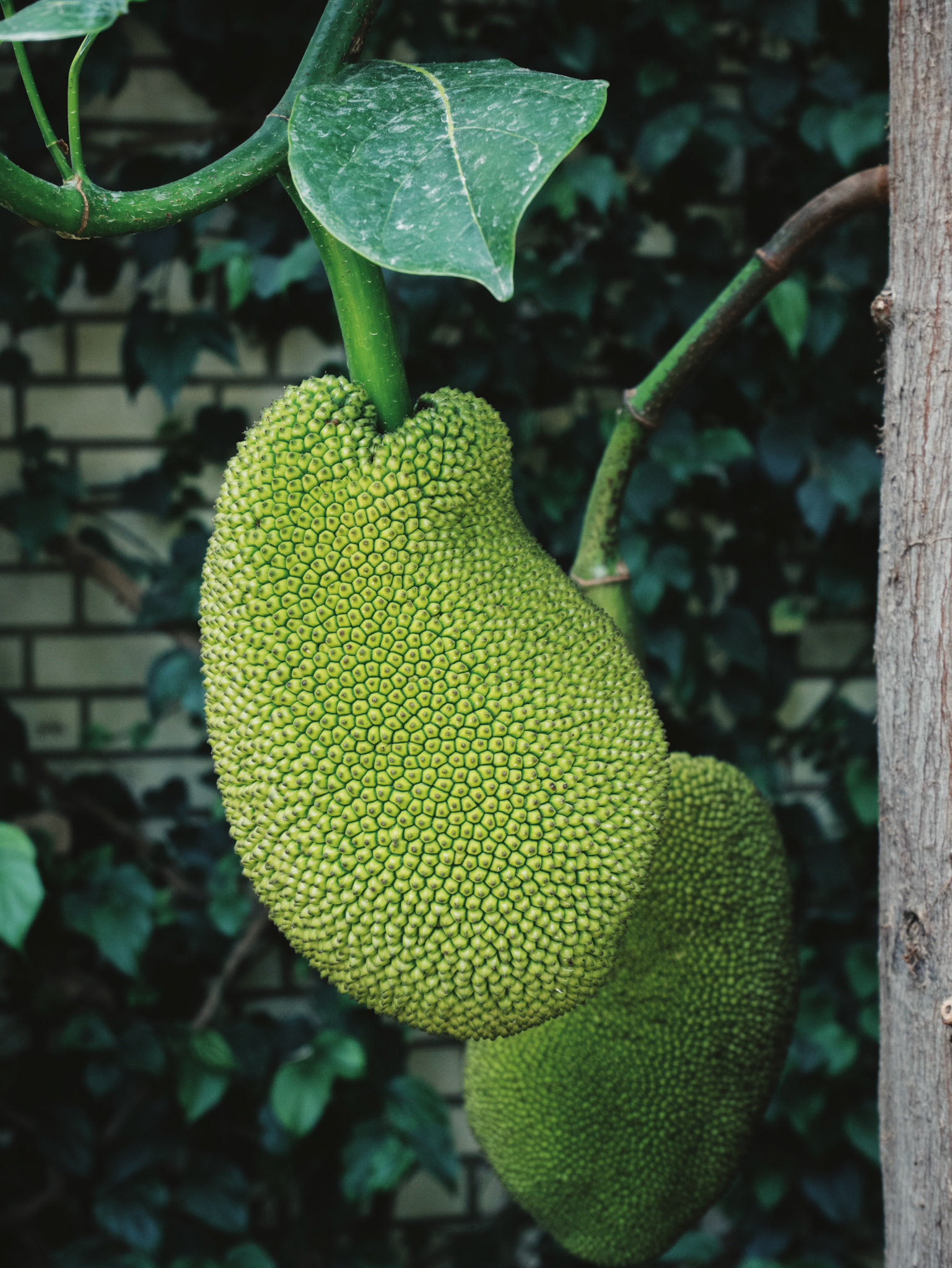 Processed with VSCO with fp8 preset