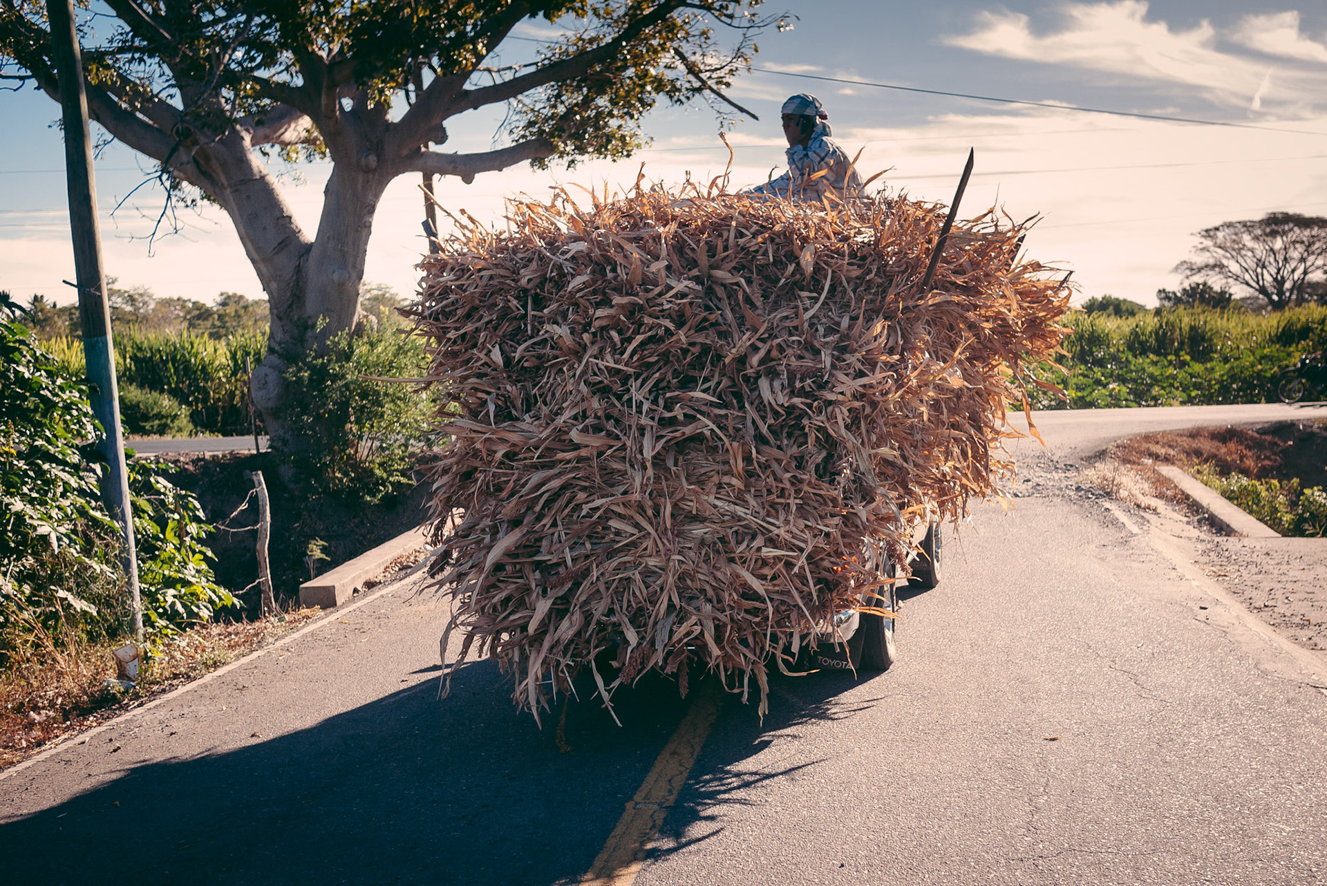 There's a truck in there somewhere!