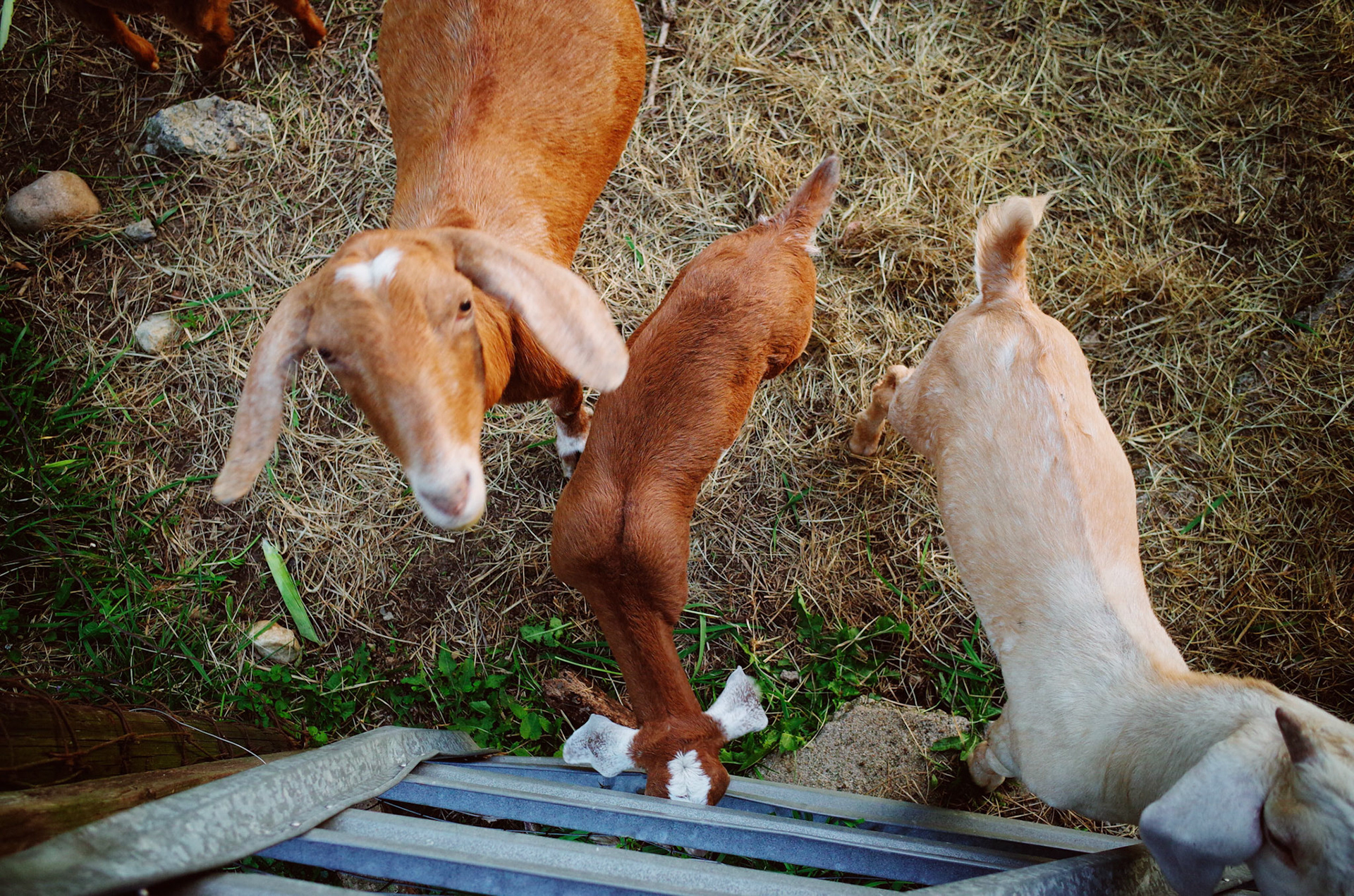 Processed with VSCO with fp2 preset