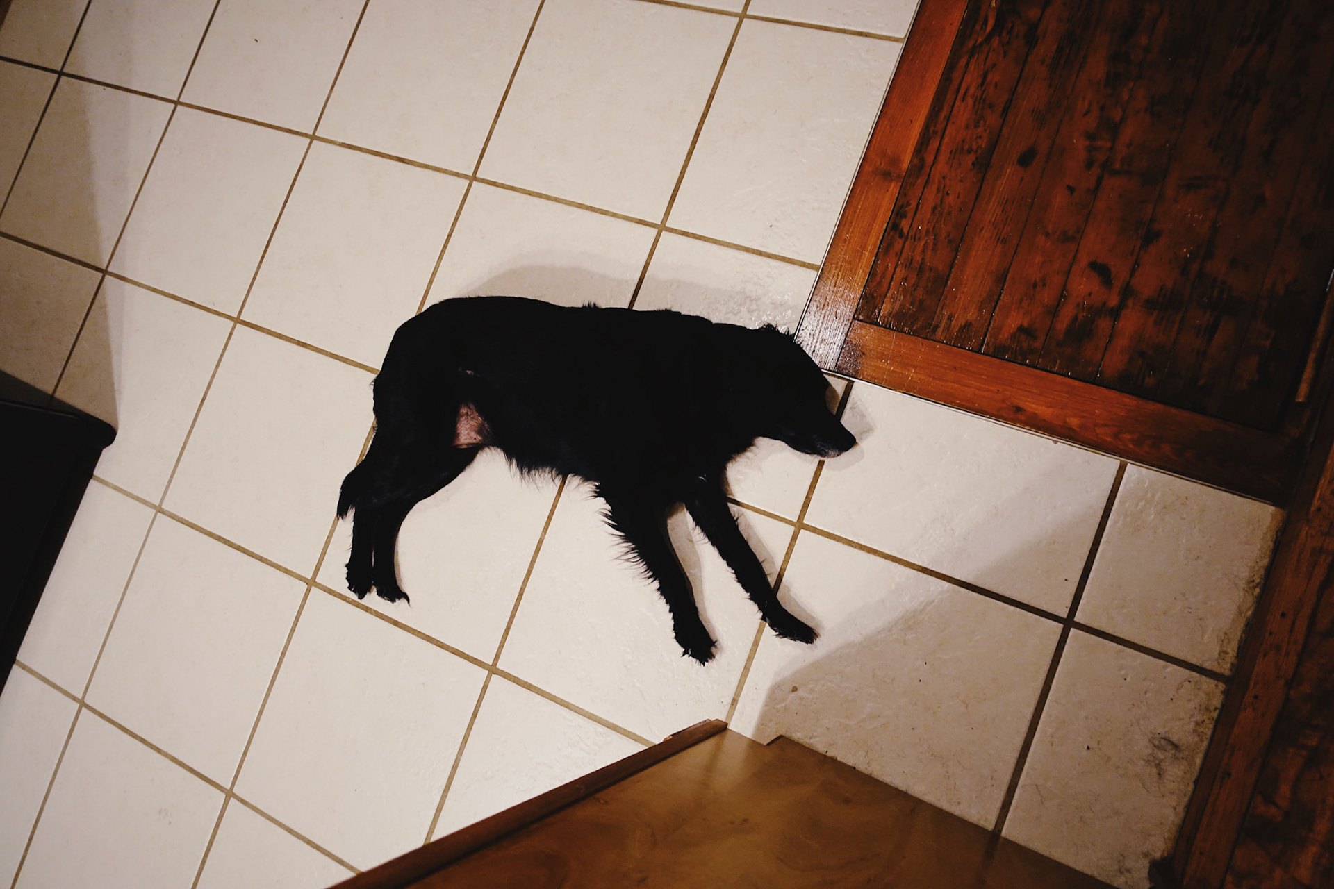                                 Processed with VSCO with ke1 preset